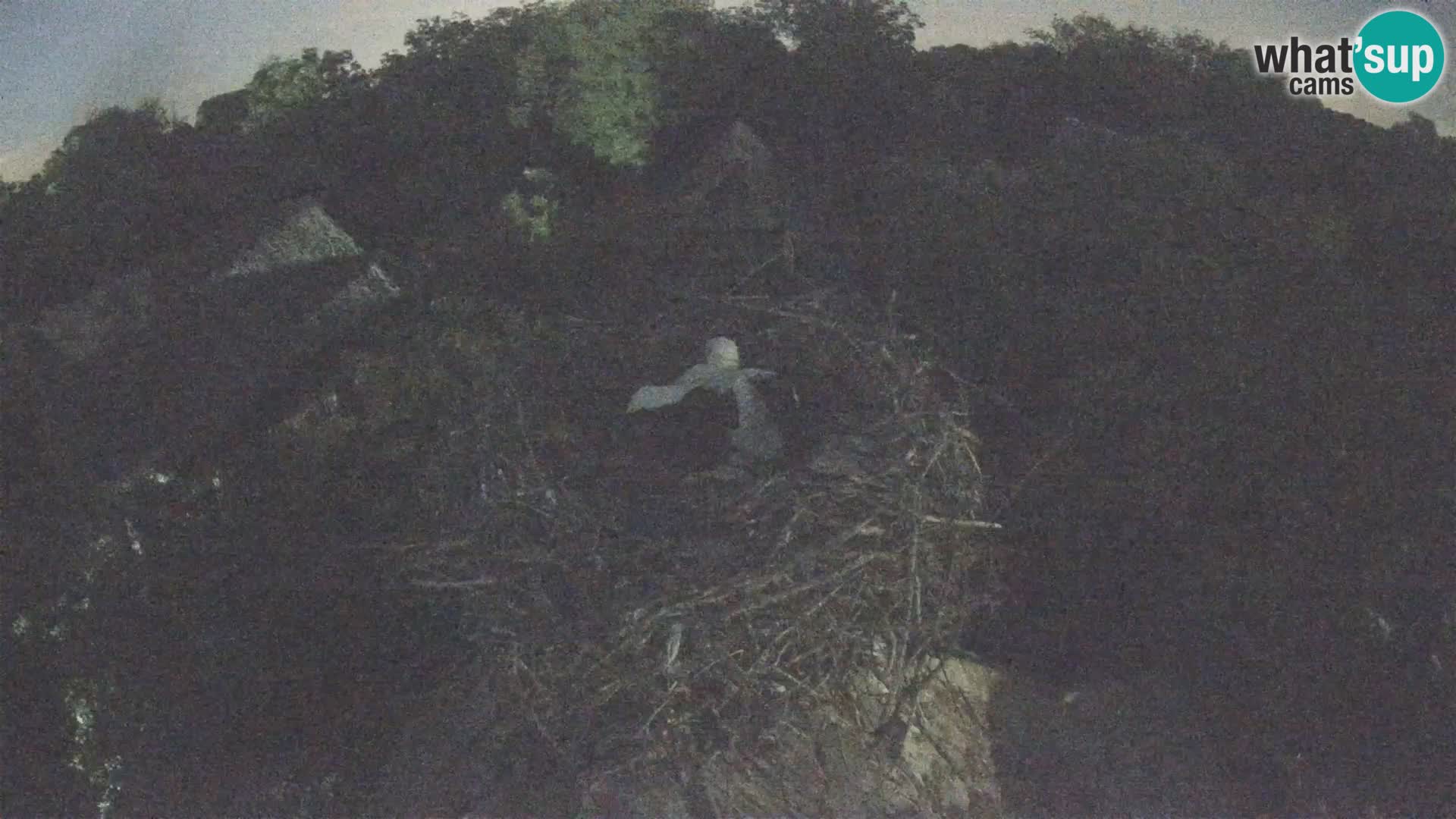 U živo Europsko selo roda – Park prirode Lonjsko polje