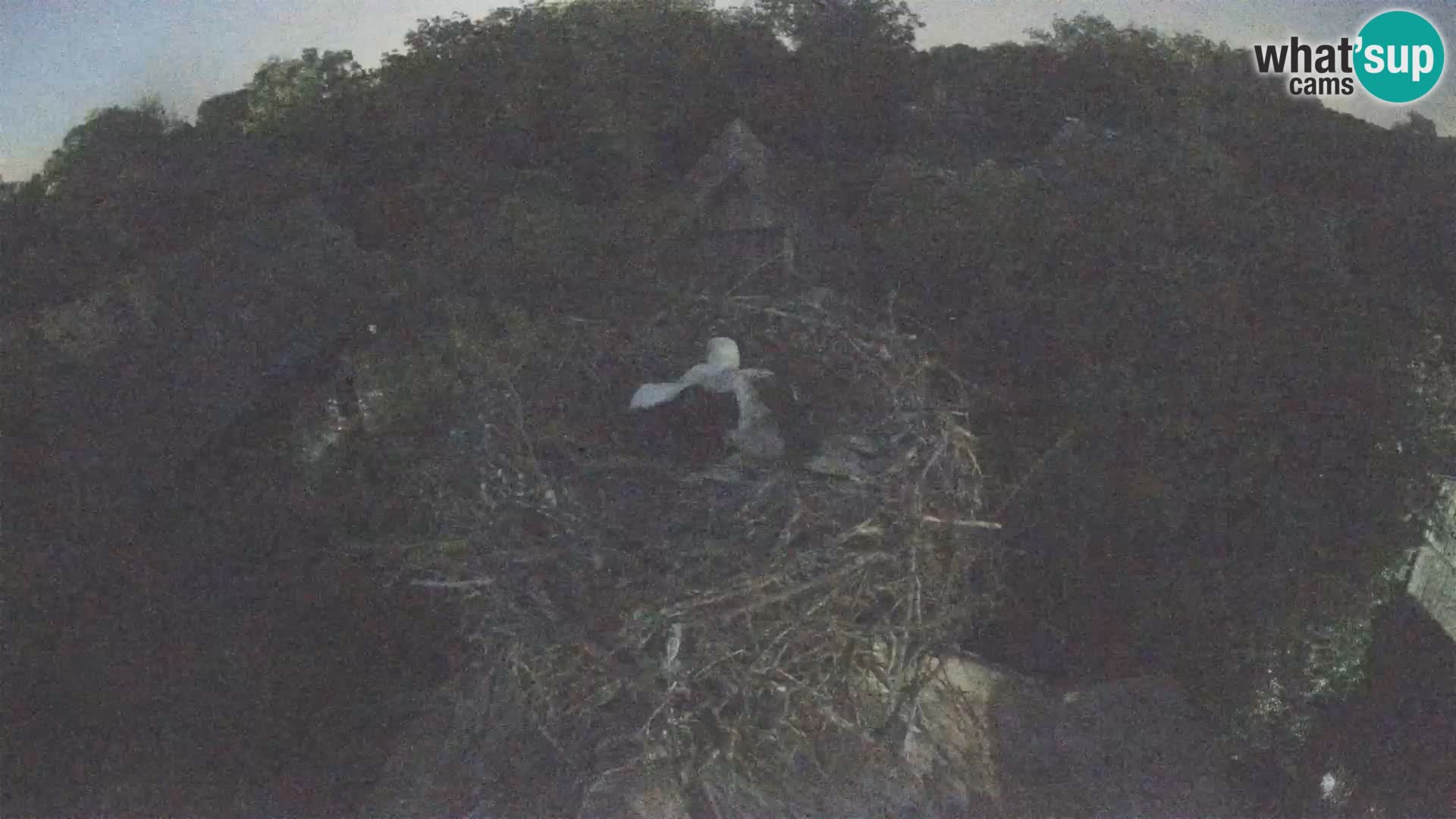 U živo Europsko selo roda – Park prirode Lonjsko polje