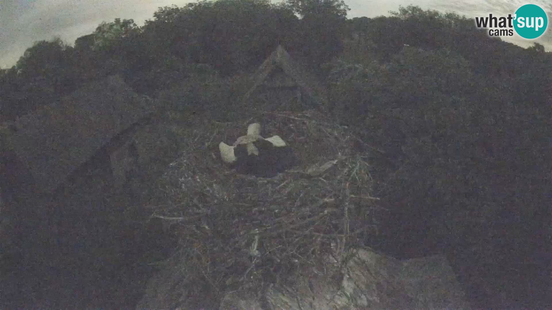 U živo Europsko selo roda – Park prirode Lonjsko polje