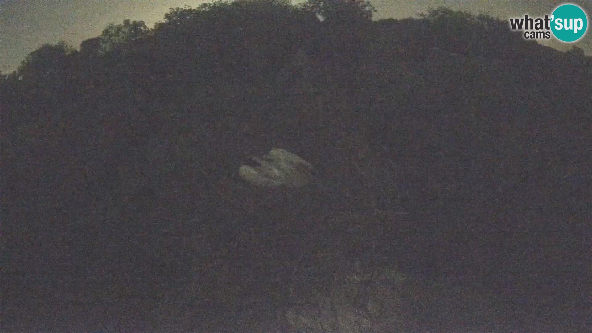 Live webcam European stork village – Lonjsko polje Nature Park