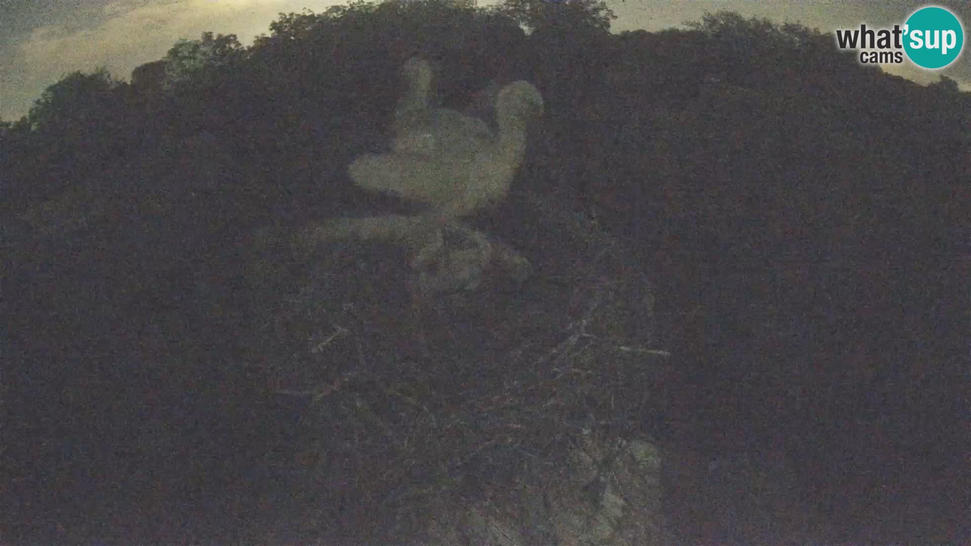 Webcam Europäisches Storchendorf – Naturpark Lonjsko polje
