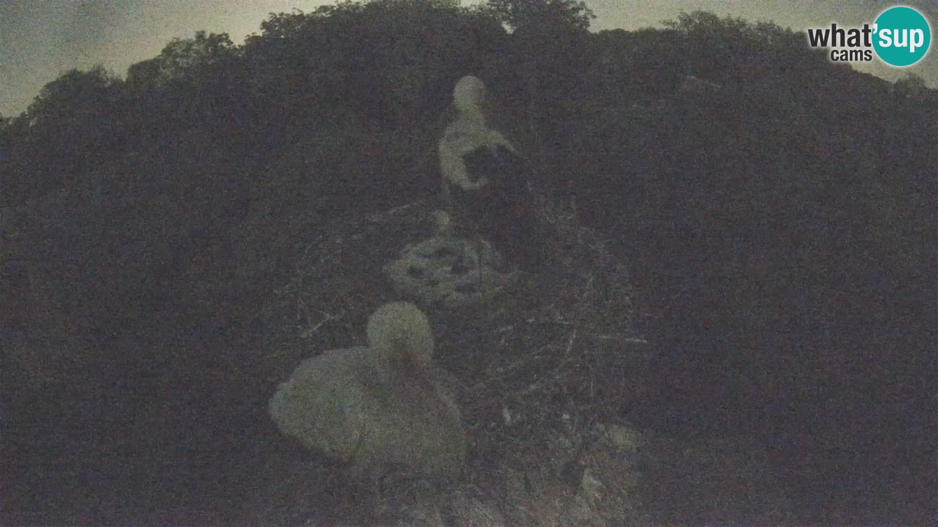 U živo Europsko selo roda – Park prirode Lonjsko polje