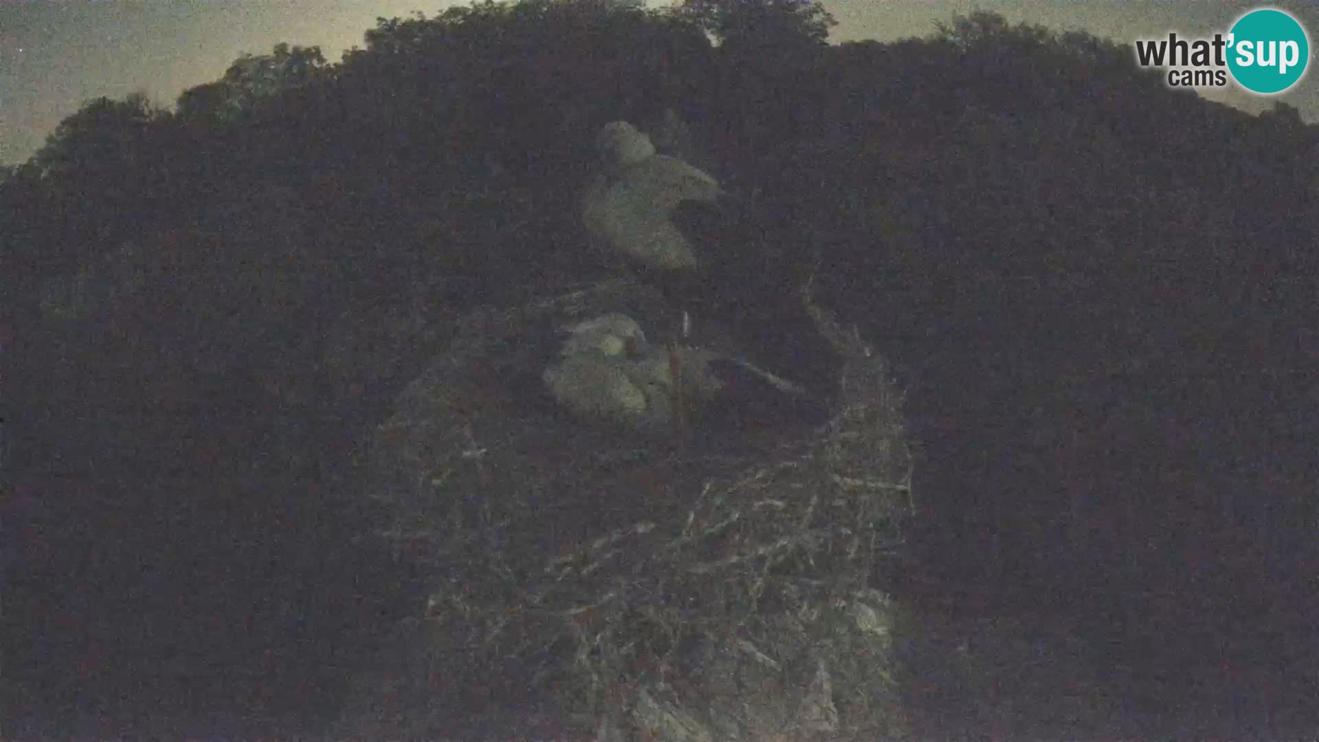 U živo Europsko selo roda – Park prirode Lonjsko polje