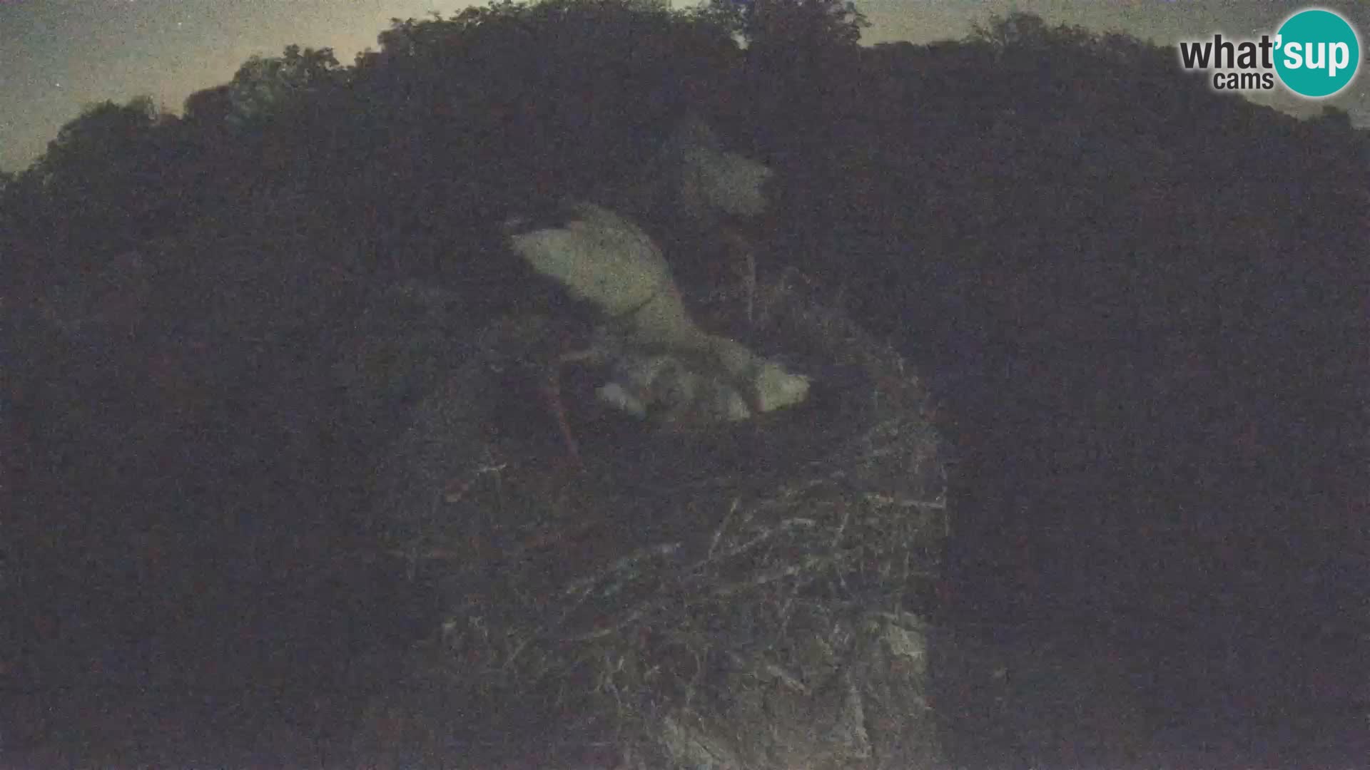 U živo Europsko selo roda – Park prirode Lonjsko polje