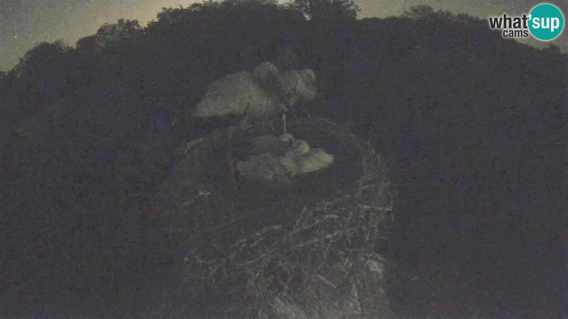 U živo Europsko selo roda – Park prirode Lonjsko polje