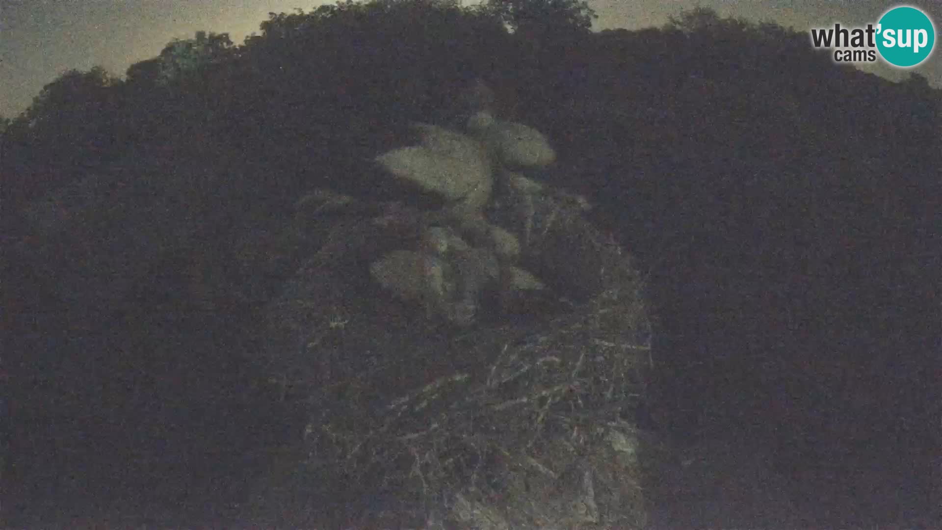 U živo Europsko selo roda – Park prirode Lonjsko polje