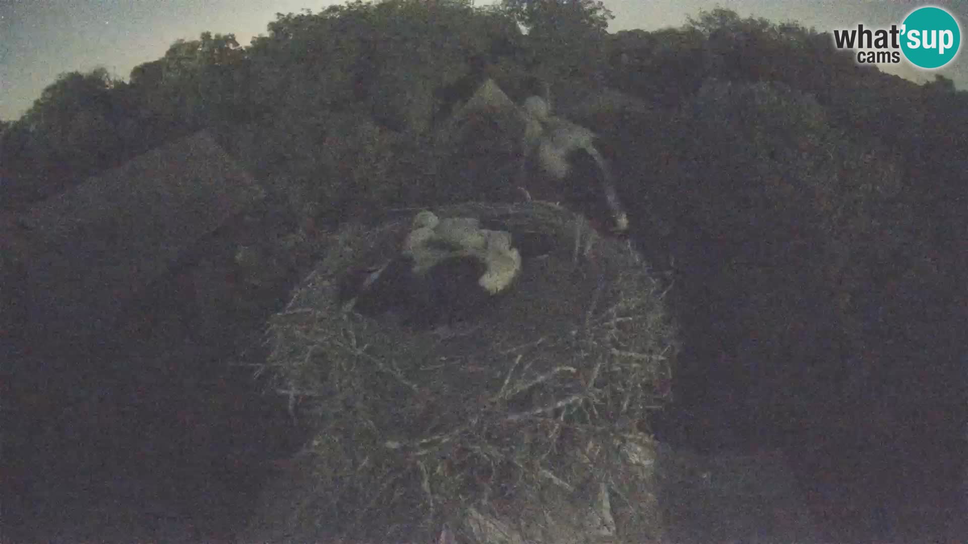 U živo Europsko selo roda – Park prirode Lonjsko polje
