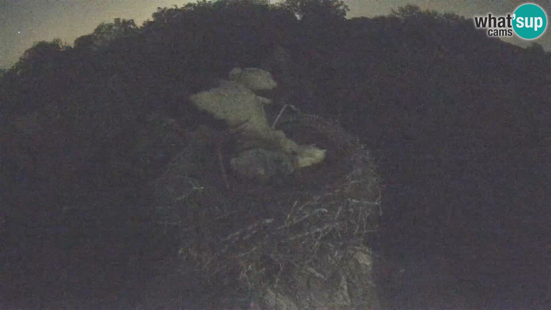 U živo Europsko selo roda – Park prirode Lonjsko polje