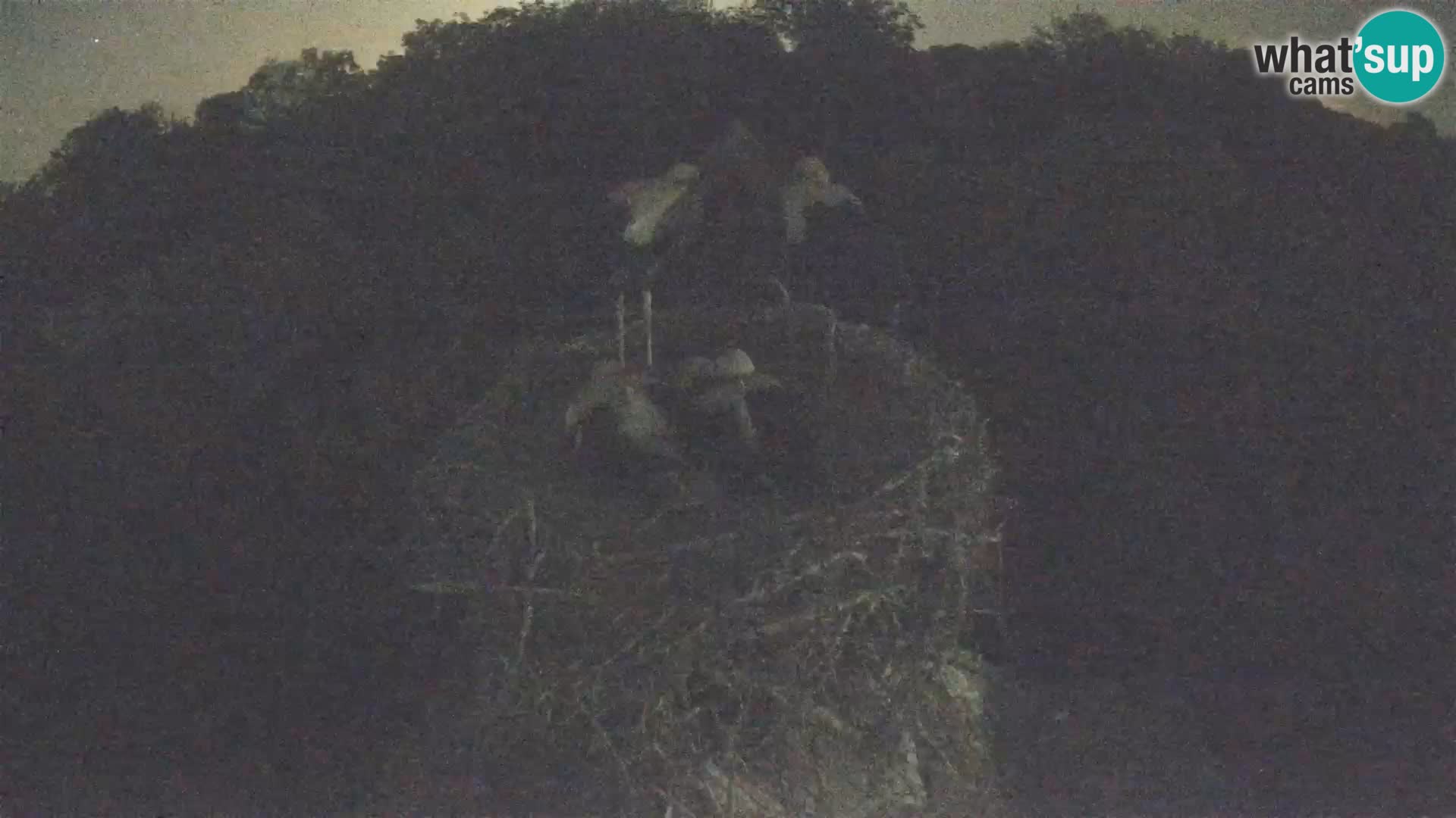 Villaggio delle cicogne europee webcam Parco naturale di Lonjsko polje
