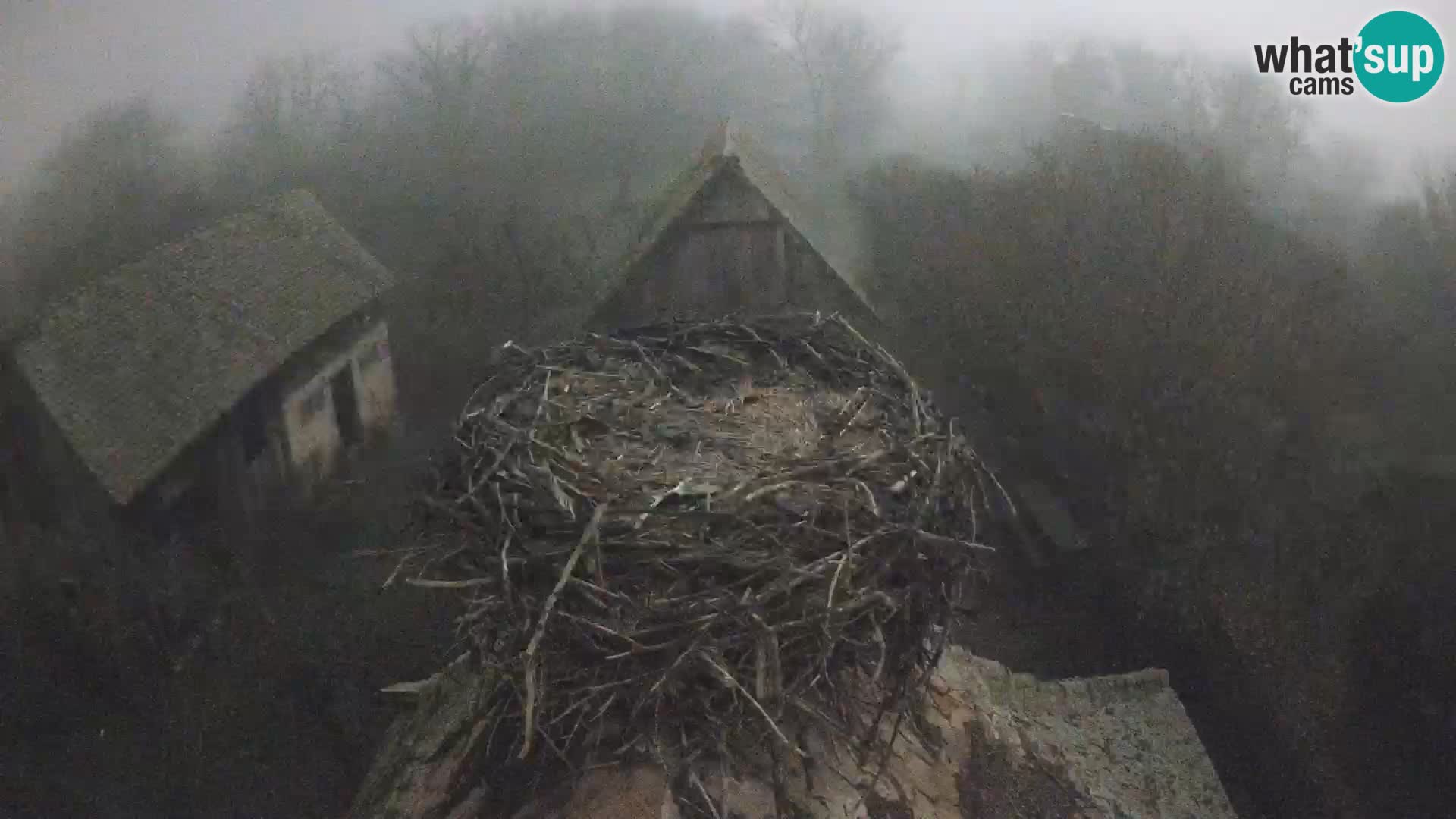 U živo Europsko selo roda – Park prirode Lonjsko polje