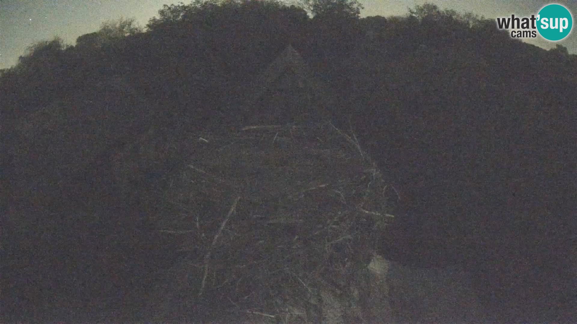Webcam Europäisches Storchendorf – Naturpark Lonjsko polje