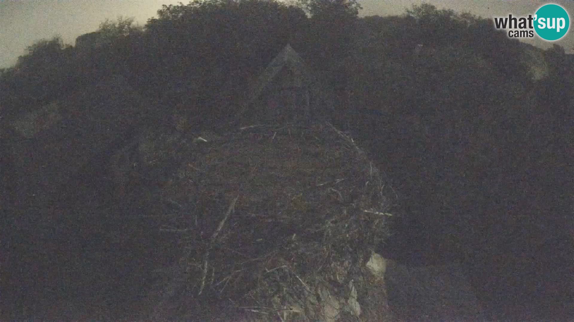Pueblo europeo de cigüeñas camera en vivo Parque Natural Lonjsko polje