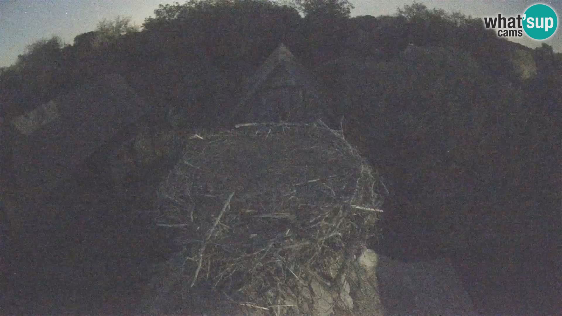Villaggio delle cicogne europee webcam Parco naturale di Lonjsko polje