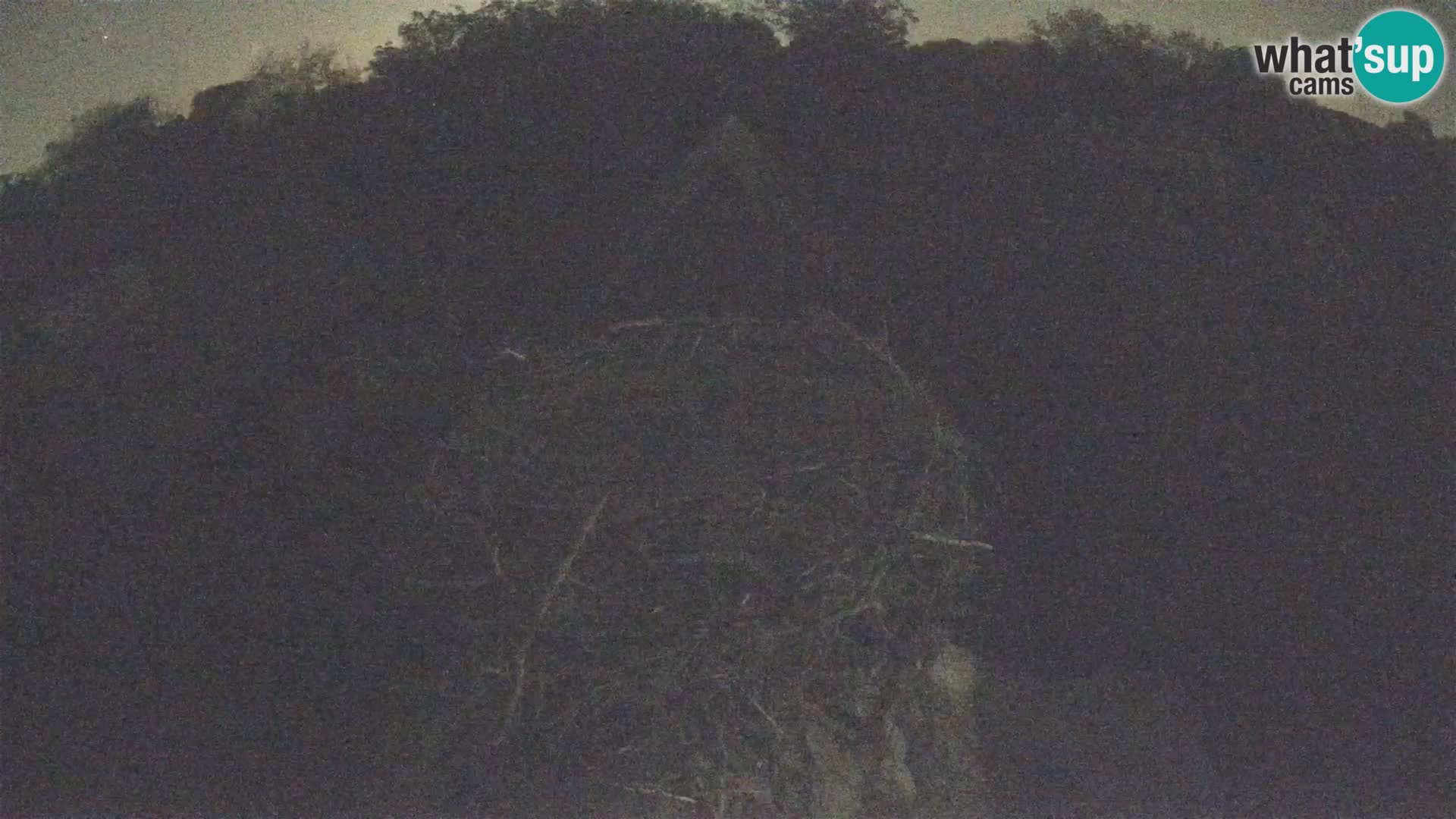 U živo Europsko selo roda – Park prirode Lonjsko polje