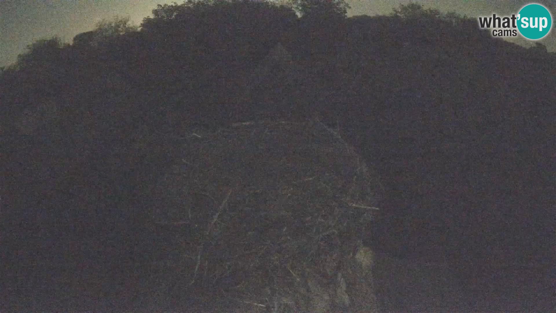 Villaggio delle cicogne europee webcam Parco naturale di Lonjsko polje