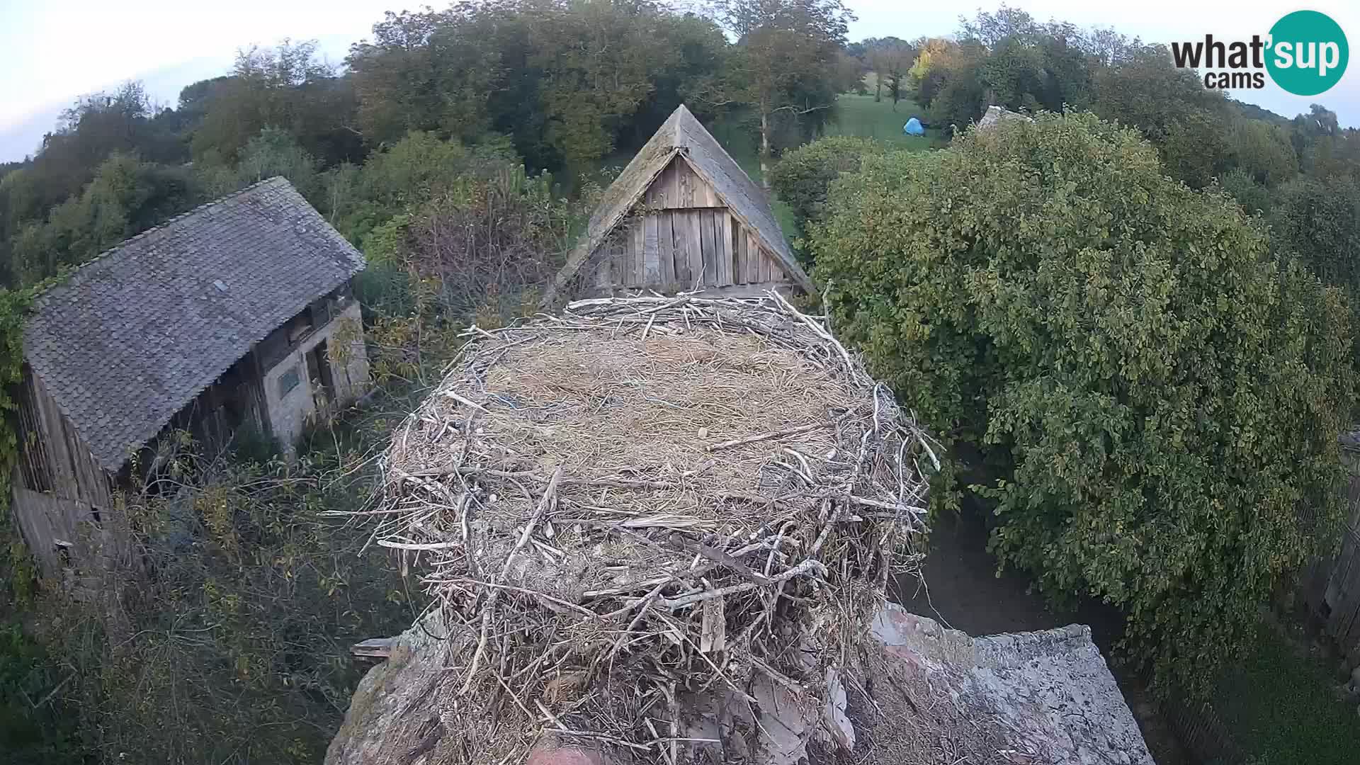 U živo Europsko selo roda – Park prirode Lonjsko polje