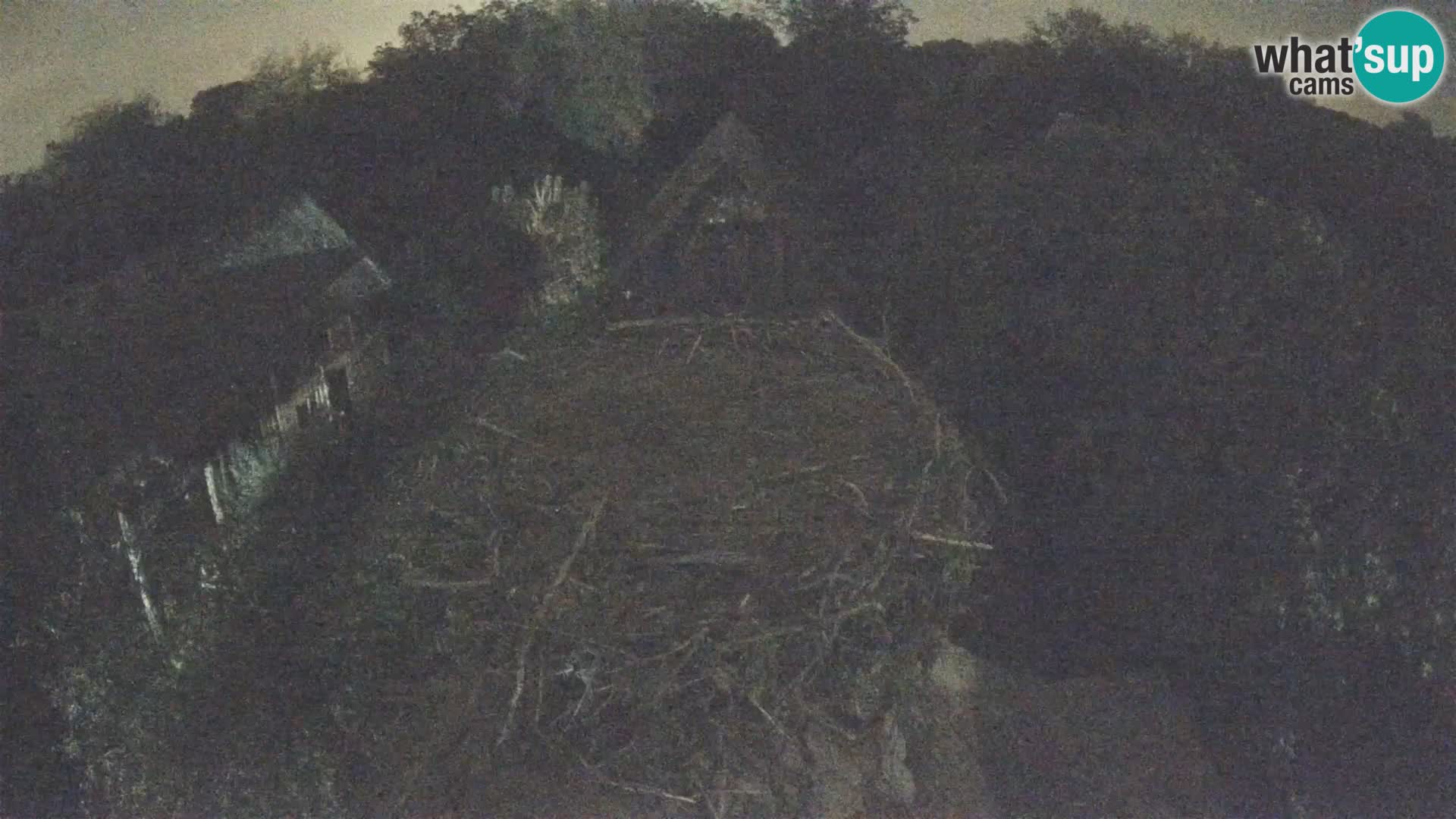 Webcam Europäisches Storchendorf – Naturpark Lonjsko polje