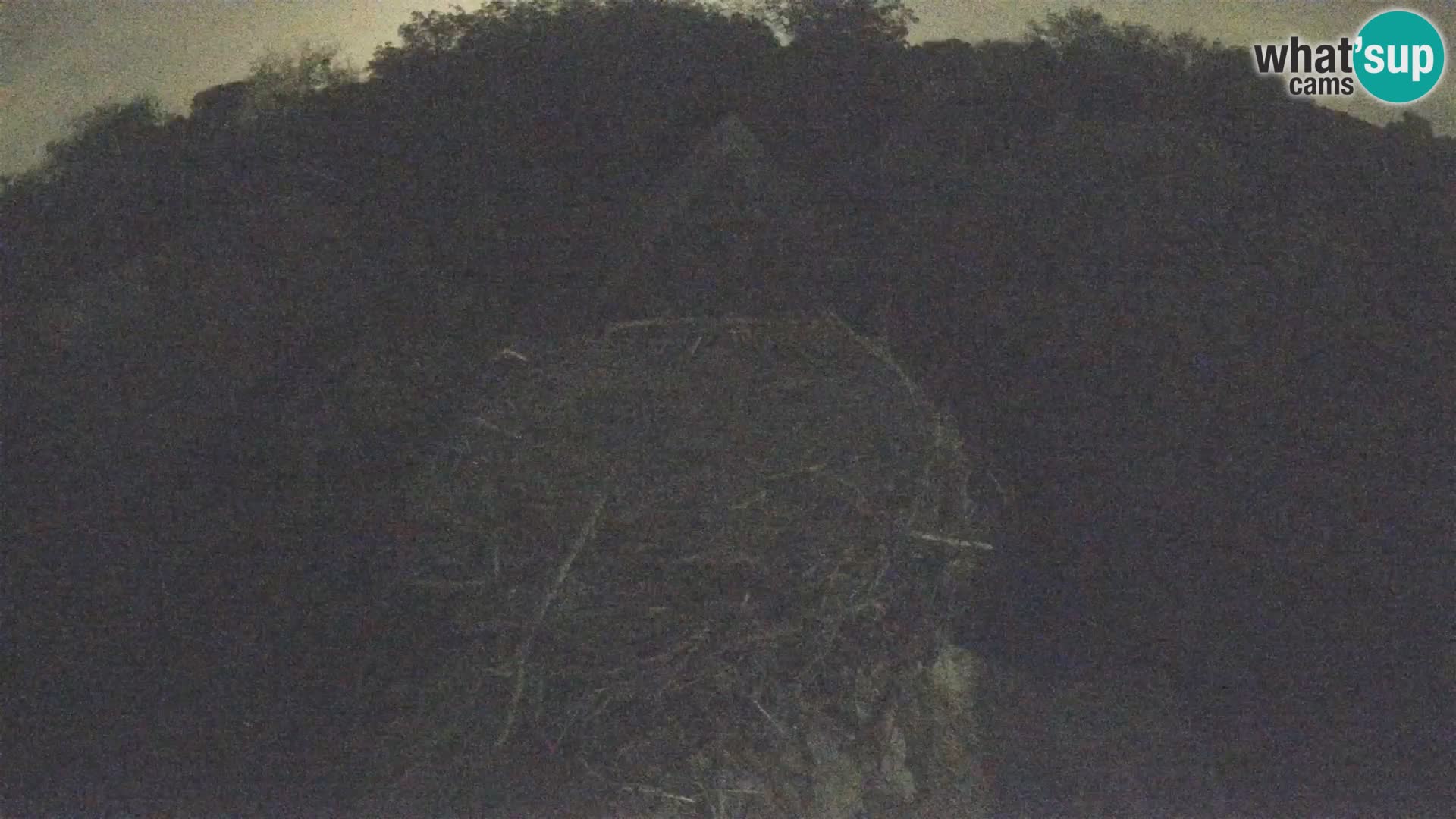 Pueblo europeo de cigüeñas camera en vivo Parque Natural Lonjsko polje