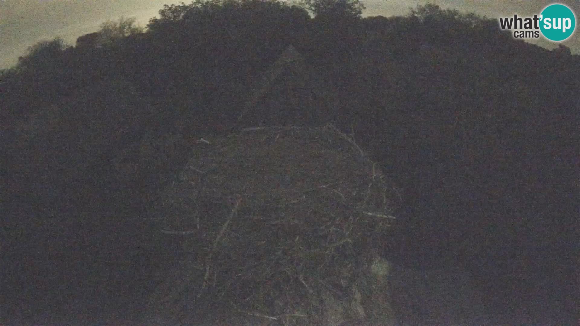 U živo Europsko selo roda – Park prirode Lonjsko polje