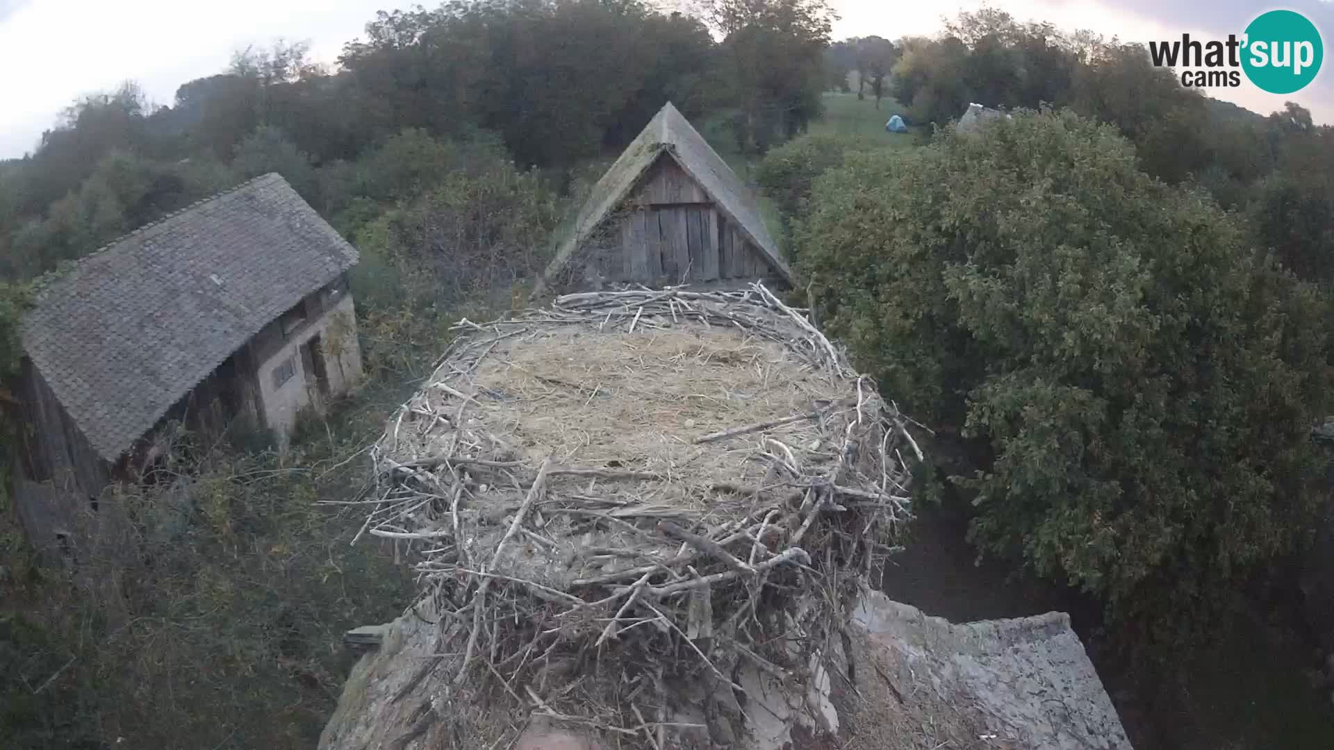 U živo Europsko selo roda – Park prirode Lonjsko polje