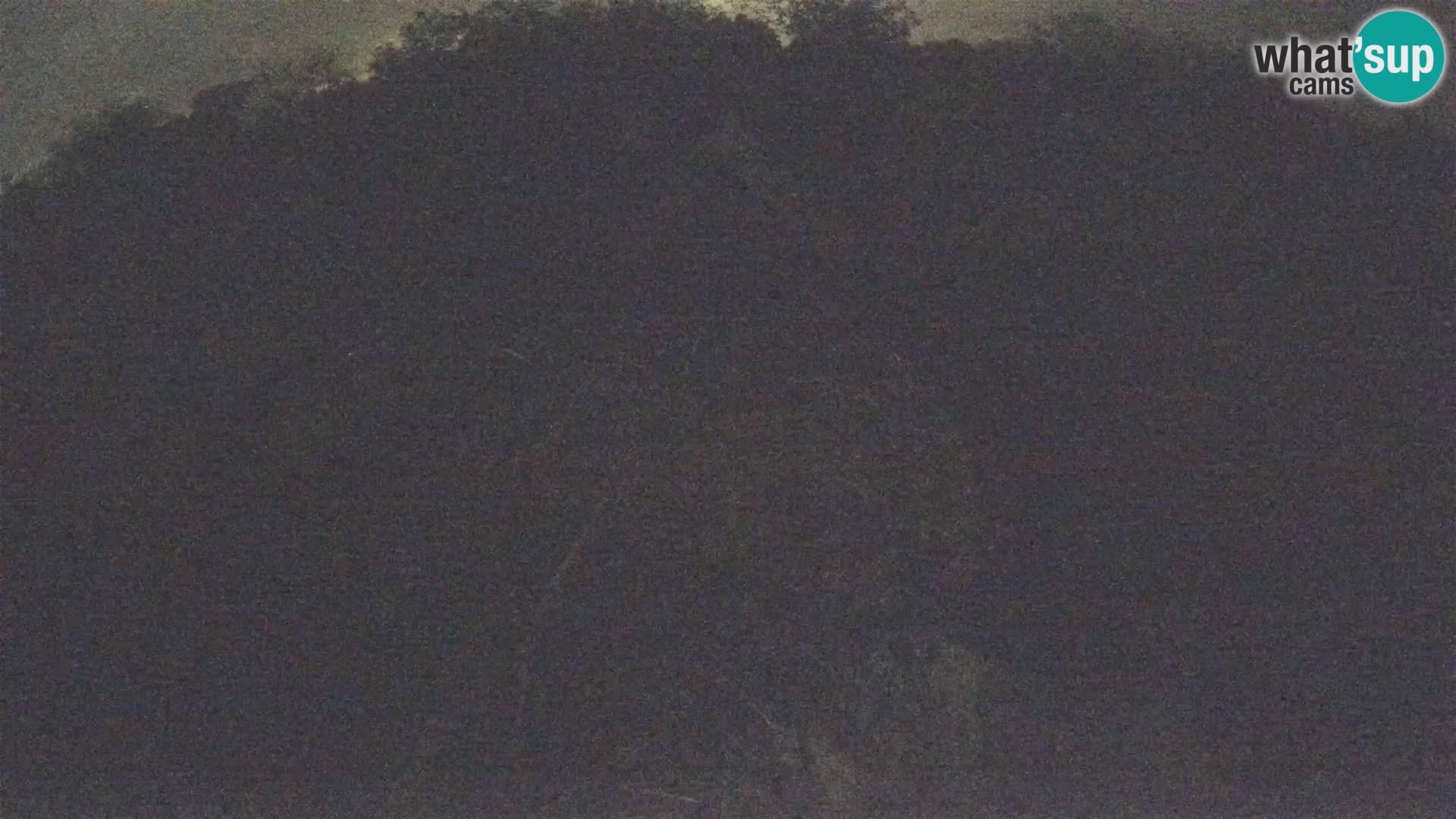 Webcam Europäisches Storchendorf – Naturpark Lonjsko polje