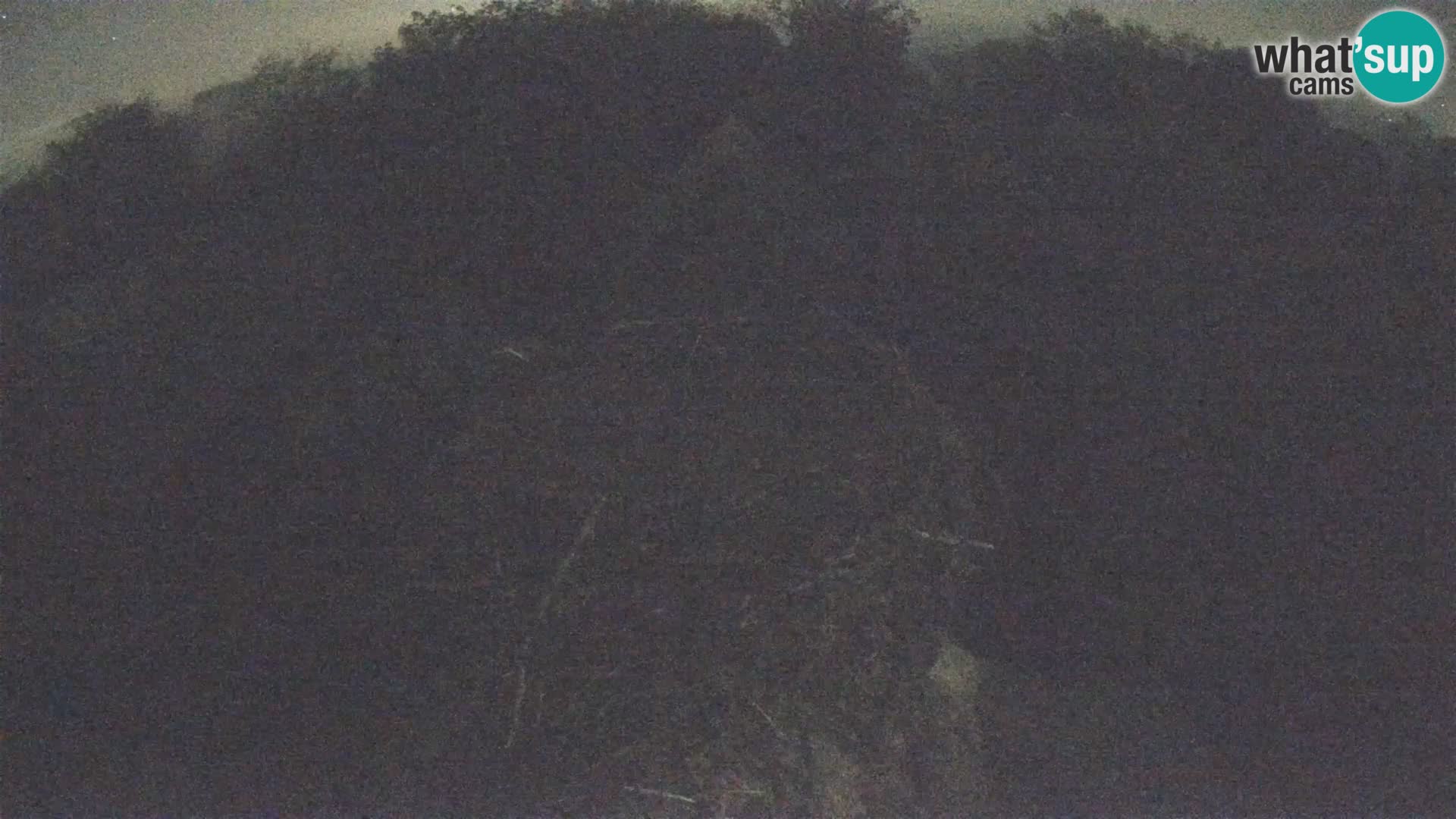 Webcam Europäisches Storchendorf – Naturpark Lonjsko polje