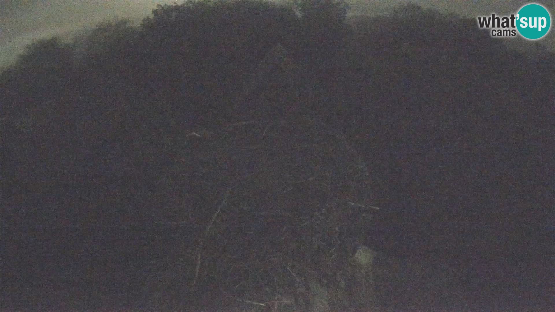 Villaggio delle cicogne europee webcam Parco naturale di Lonjsko polje