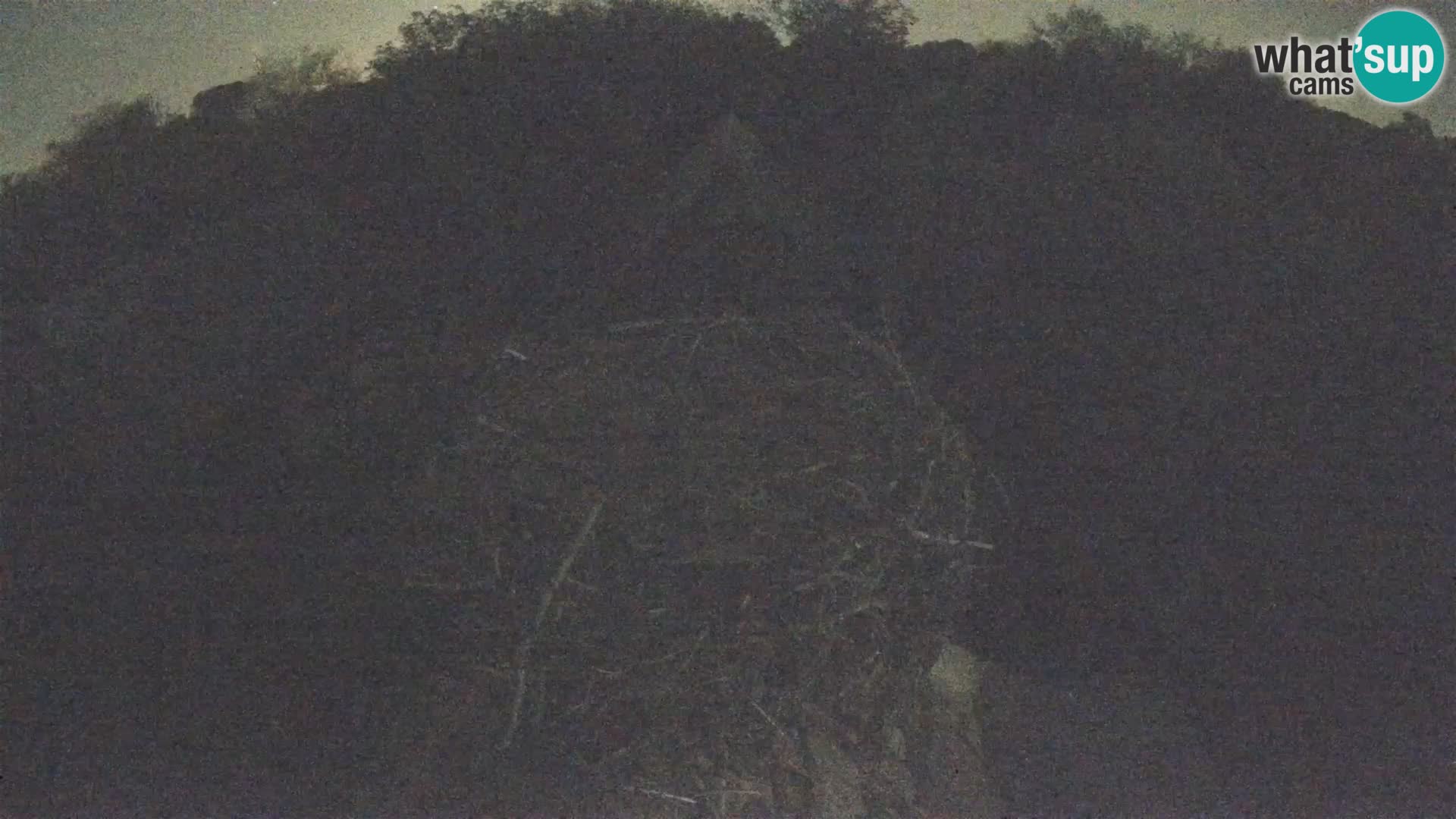 Village européen de cigognes webcam Parc naturel de Lonjsko polje