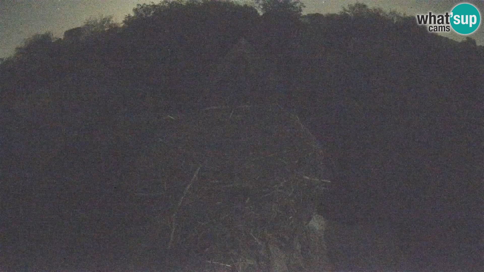 Village européen de cigognes webcam Parc naturel de Lonjsko polje