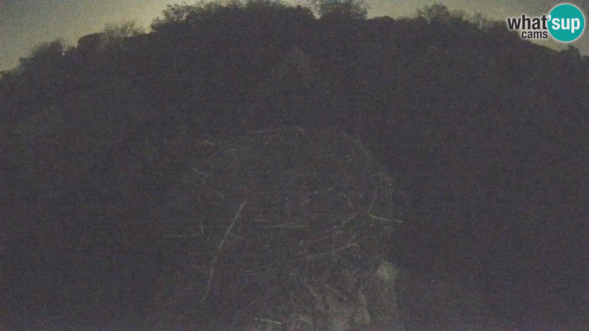 Pueblo europeo de cigüeñas camera en vivo Parque Natural Lonjsko polje