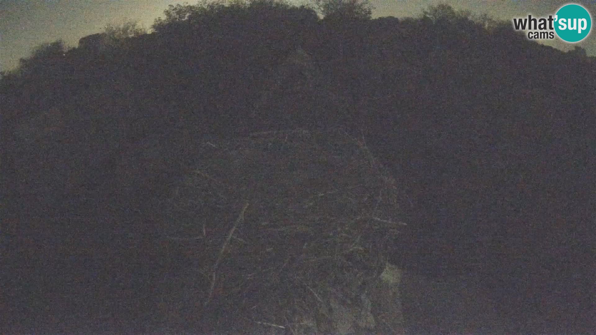Village européen de cigognes webcam Parc naturel de Lonjsko polje