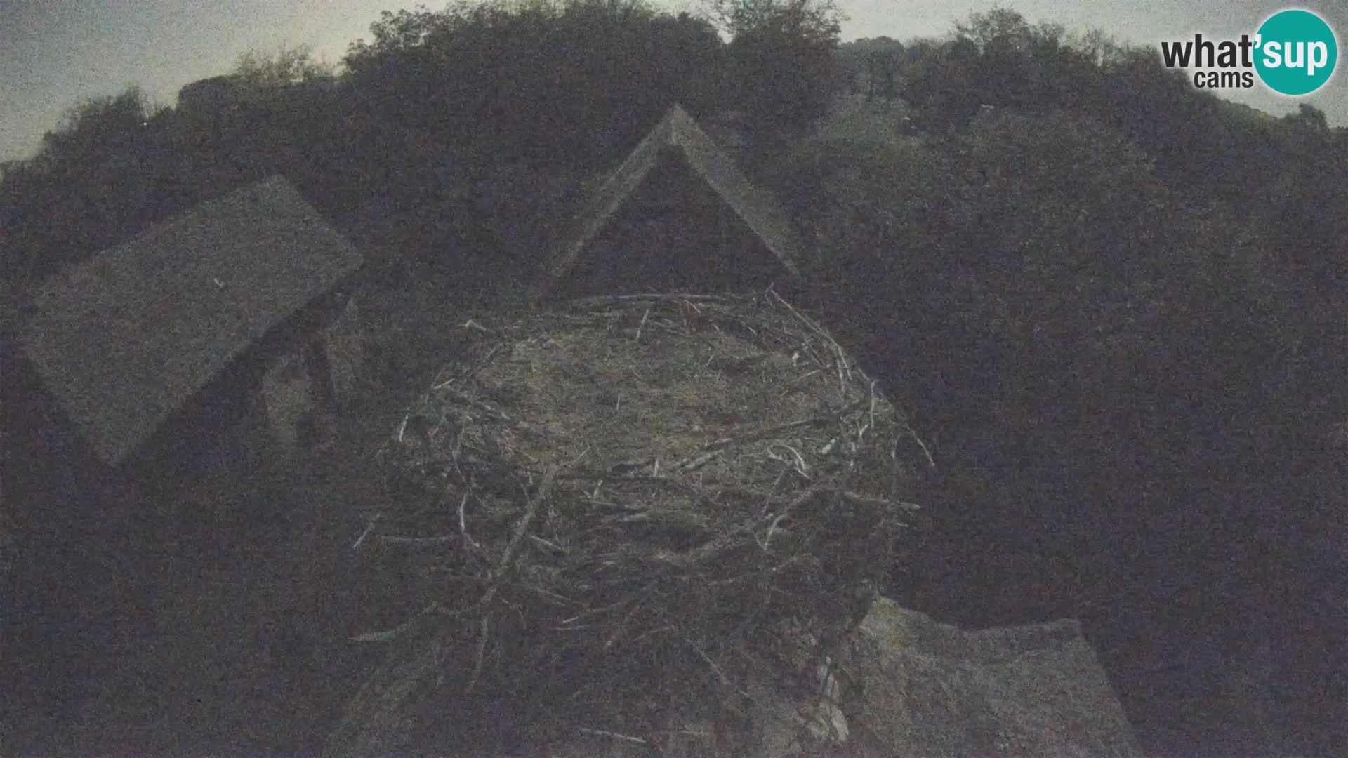 Webcam Europäisches Storchendorf – Naturpark Lonjsko polje