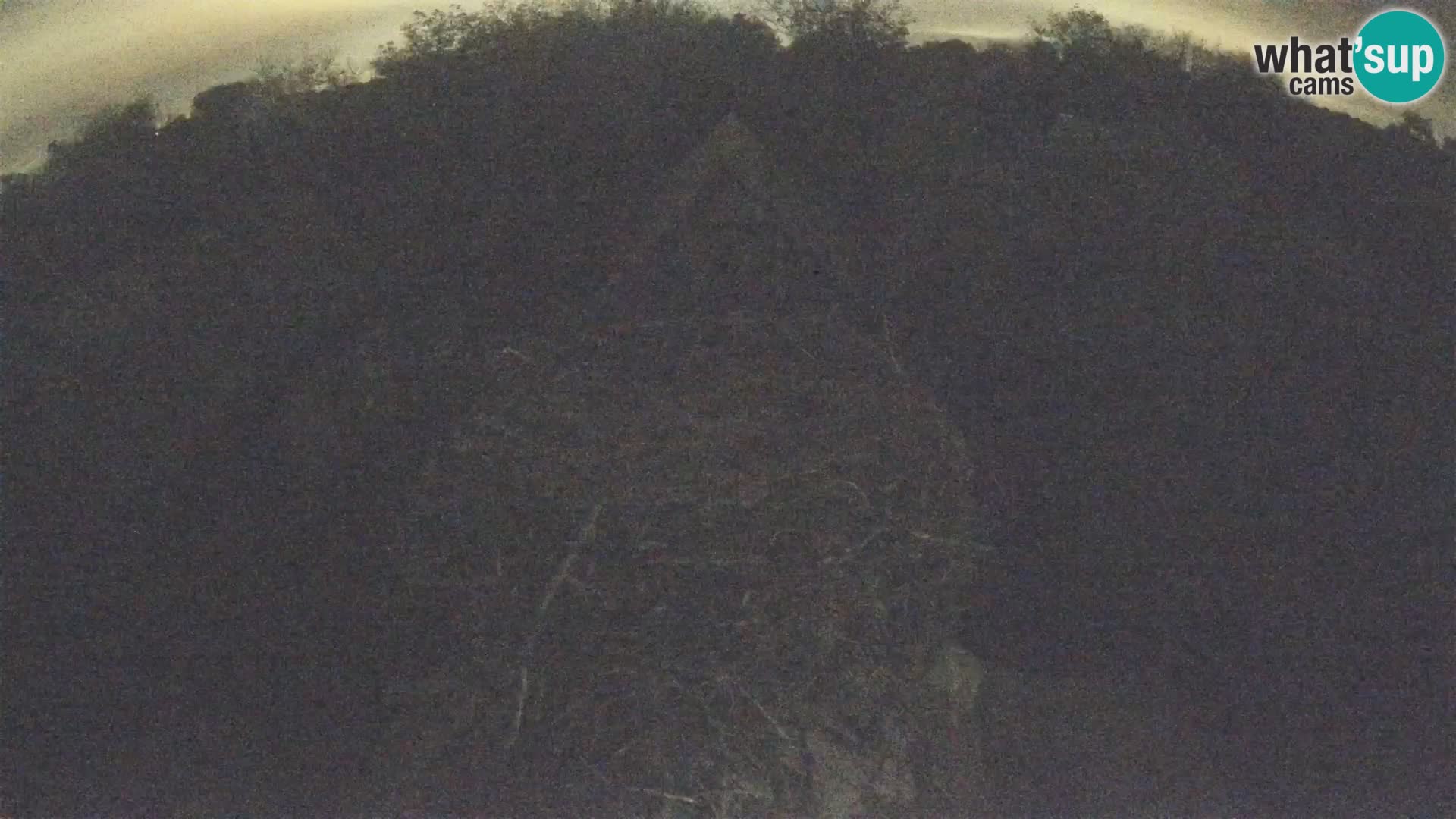 Webcam Europäisches Storchendorf – Naturpark Lonjsko polje
