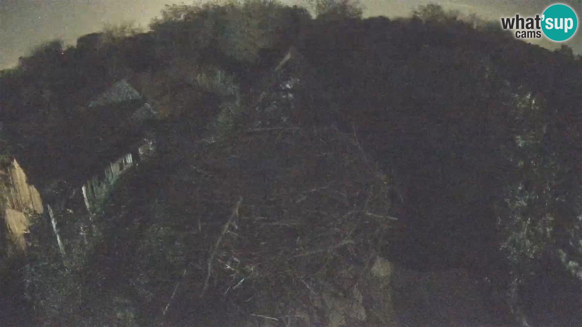 Villaggio delle cicogne europee webcam Parco naturale di Lonjsko polje