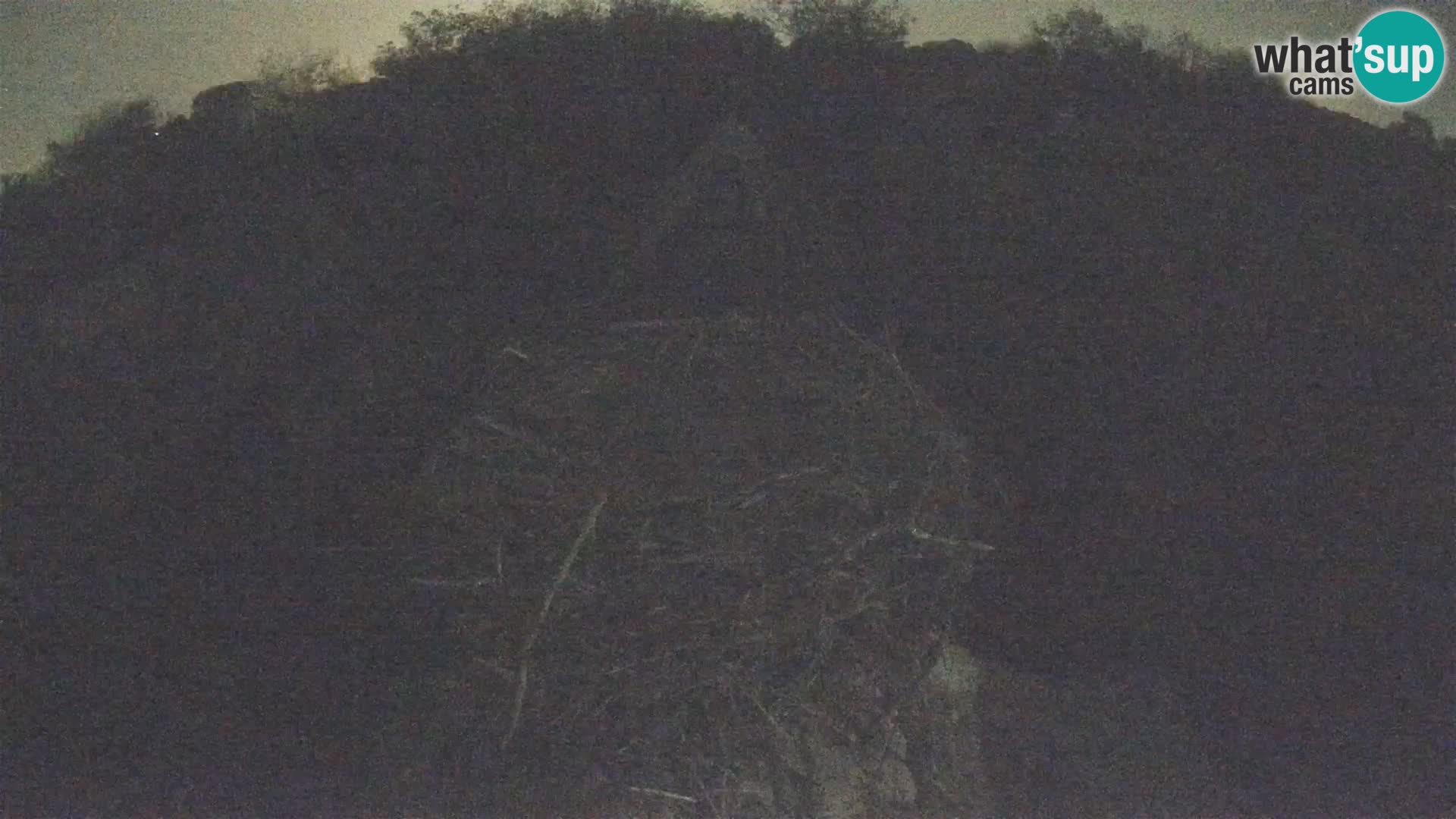 Village européen de cigognes webcam Parc naturel de Lonjsko polje