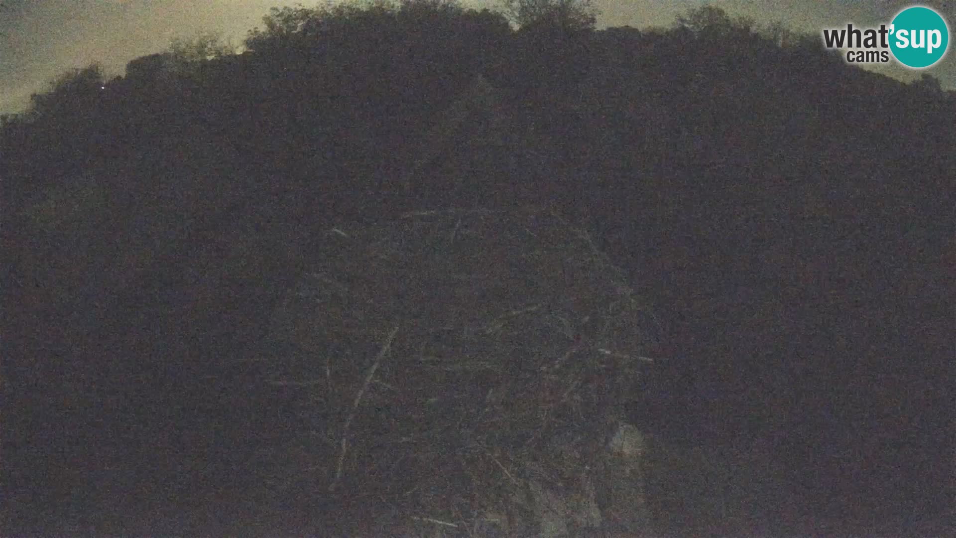Pueblo europeo de cigüeñas camera en vivo Parque Natural Lonjsko polje