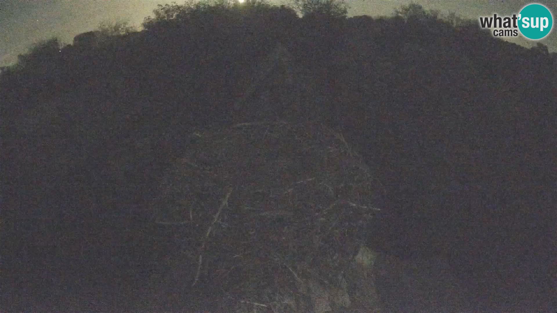 Villaggio delle cicogne europee webcam Parco naturale di Lonjsko polje