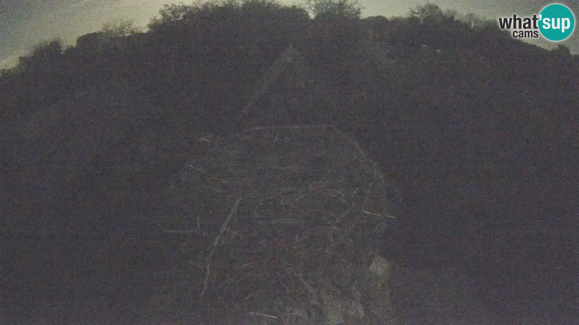 Pueblo europeo de cigüeñas camera en vivo Parque Natural Lonjsko polje