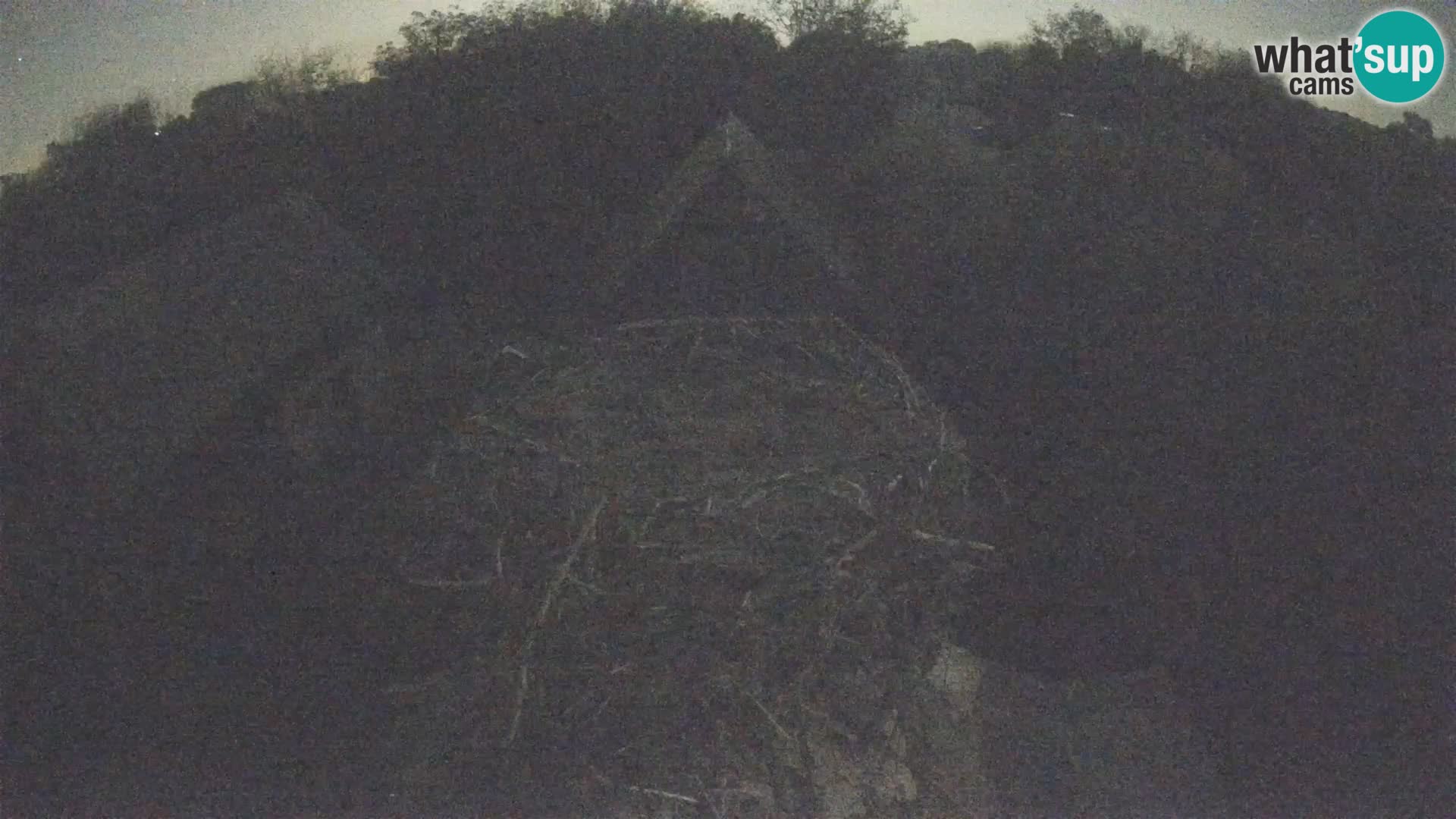 Pueblo europeo de cigüeñas camera en vivo Parque Natural Lonjsko polje