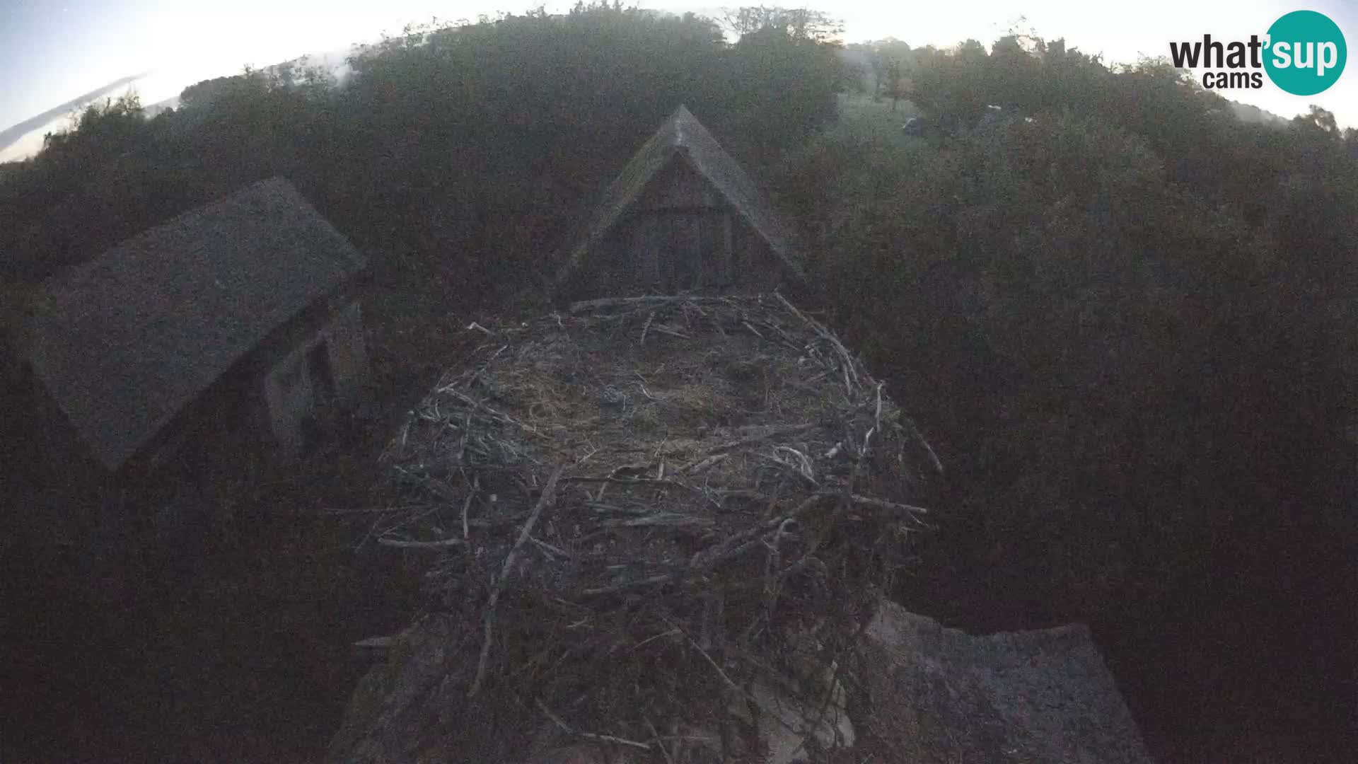 Webcam Europäisches Storchendorf – Naturpark Lonjsko polje
