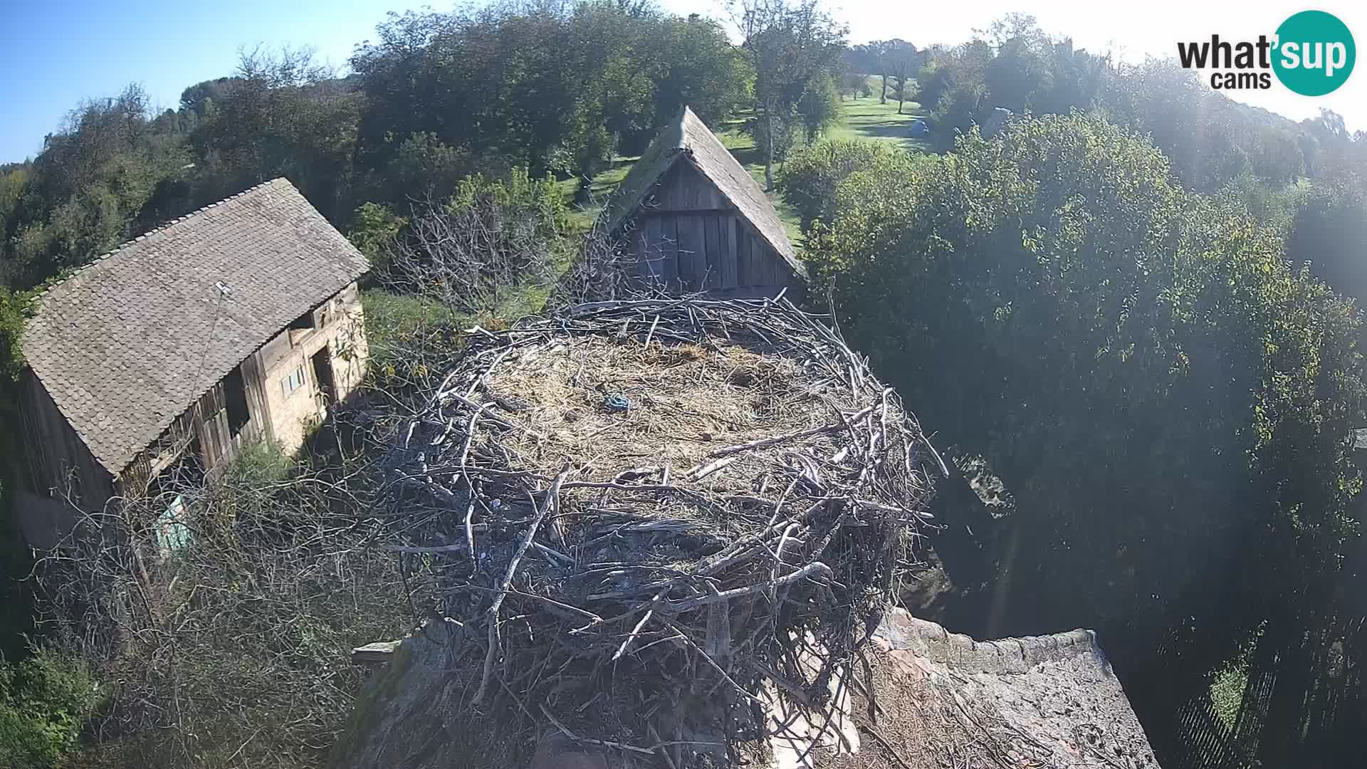 U živo Europsko selo roda – Park prirode Lonjsko polje