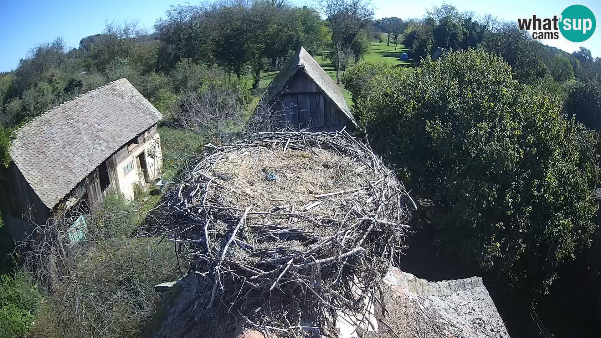 U živo Europsko selo roda – Park prirode Lonjsko polje