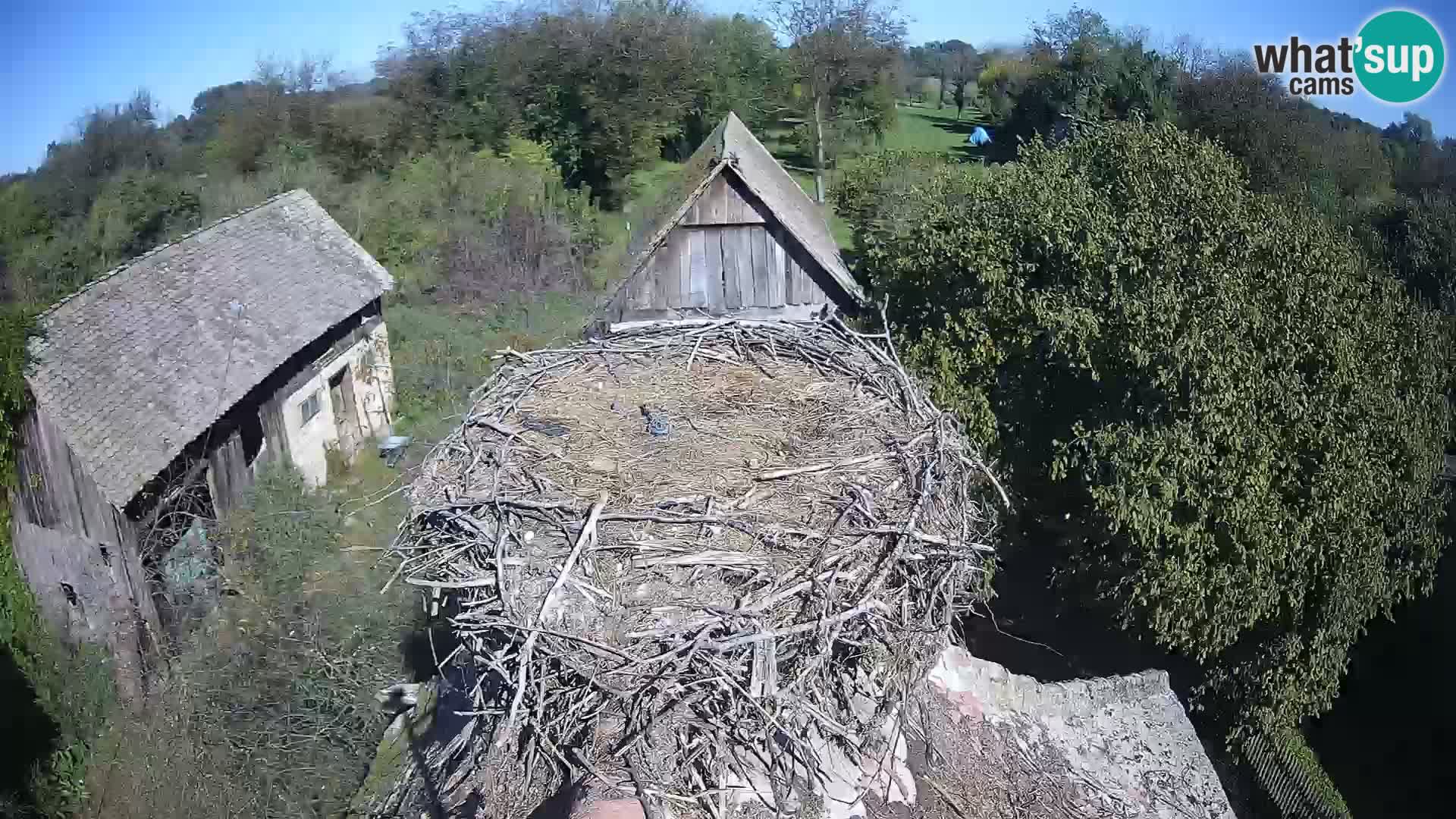 U živo Europsko selo roda – Park prirode Lonjsko polje