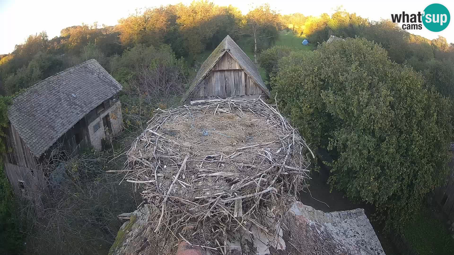 U živo Europsko selo roda – Park prirode Lonjsko polje