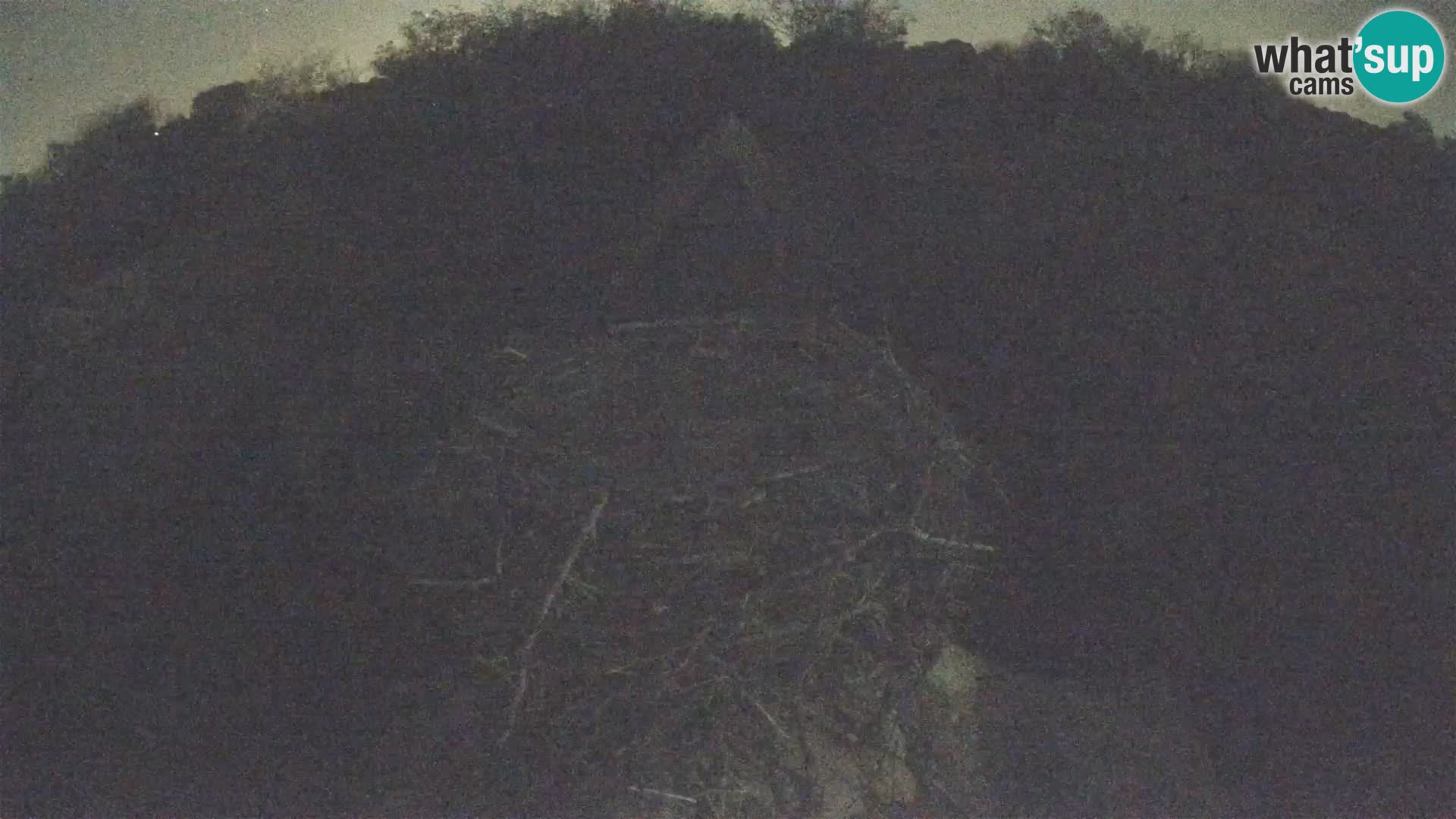 Villaggio delle cicogne europee webcam Parco naturale di Lonjsko polje
