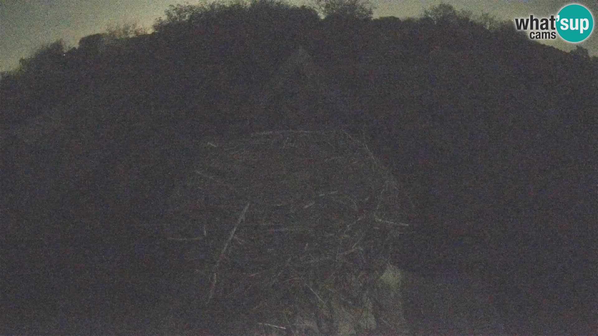 Village européen de cigognes webcam Parc naturel de Lonjsko polje