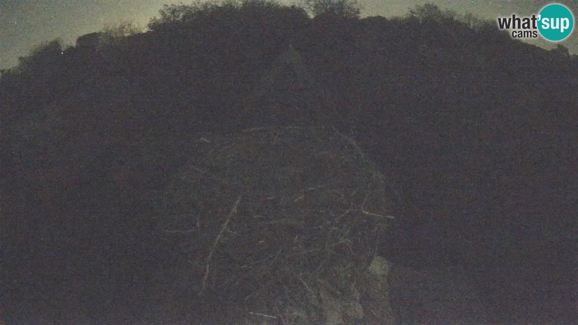 Villaggio delle cicogne europee webcam Parco naturale di Lonjsko polje