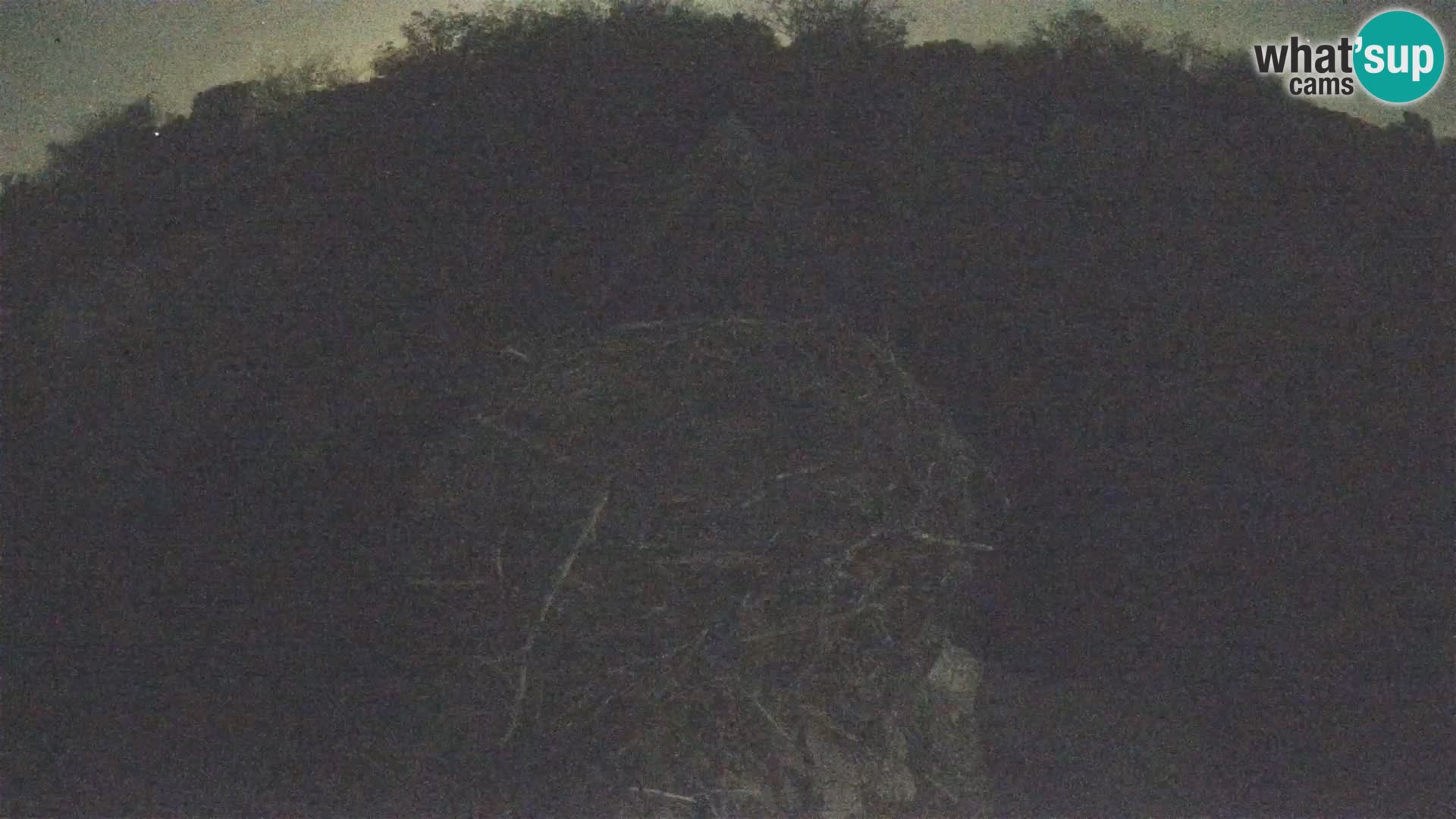 Pueblo europeo de cigüeñas camera en vivo Parque Natural Lonjsko polje