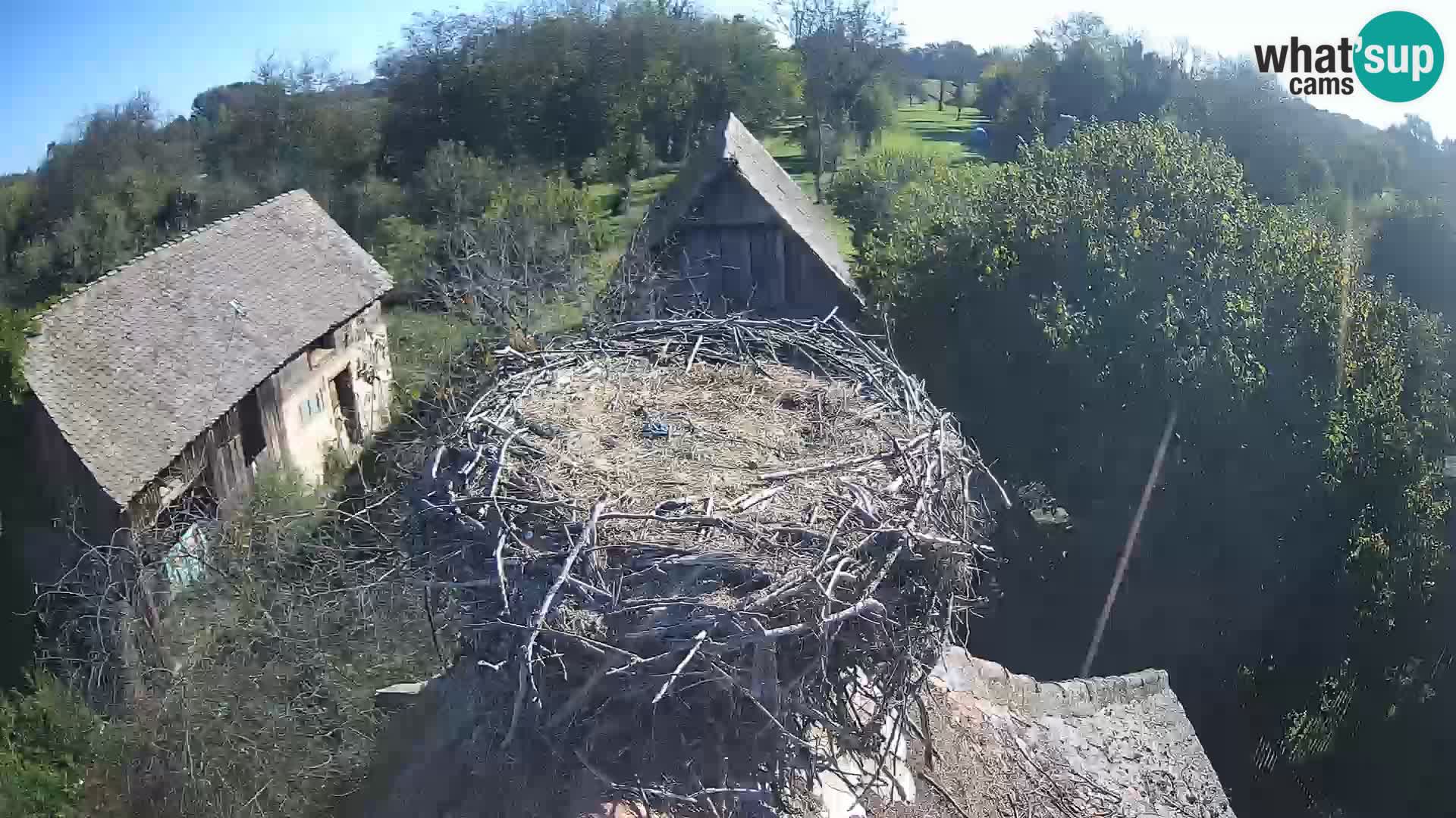 U živo Europsko selo roda – Park prirode Lonjsko polje