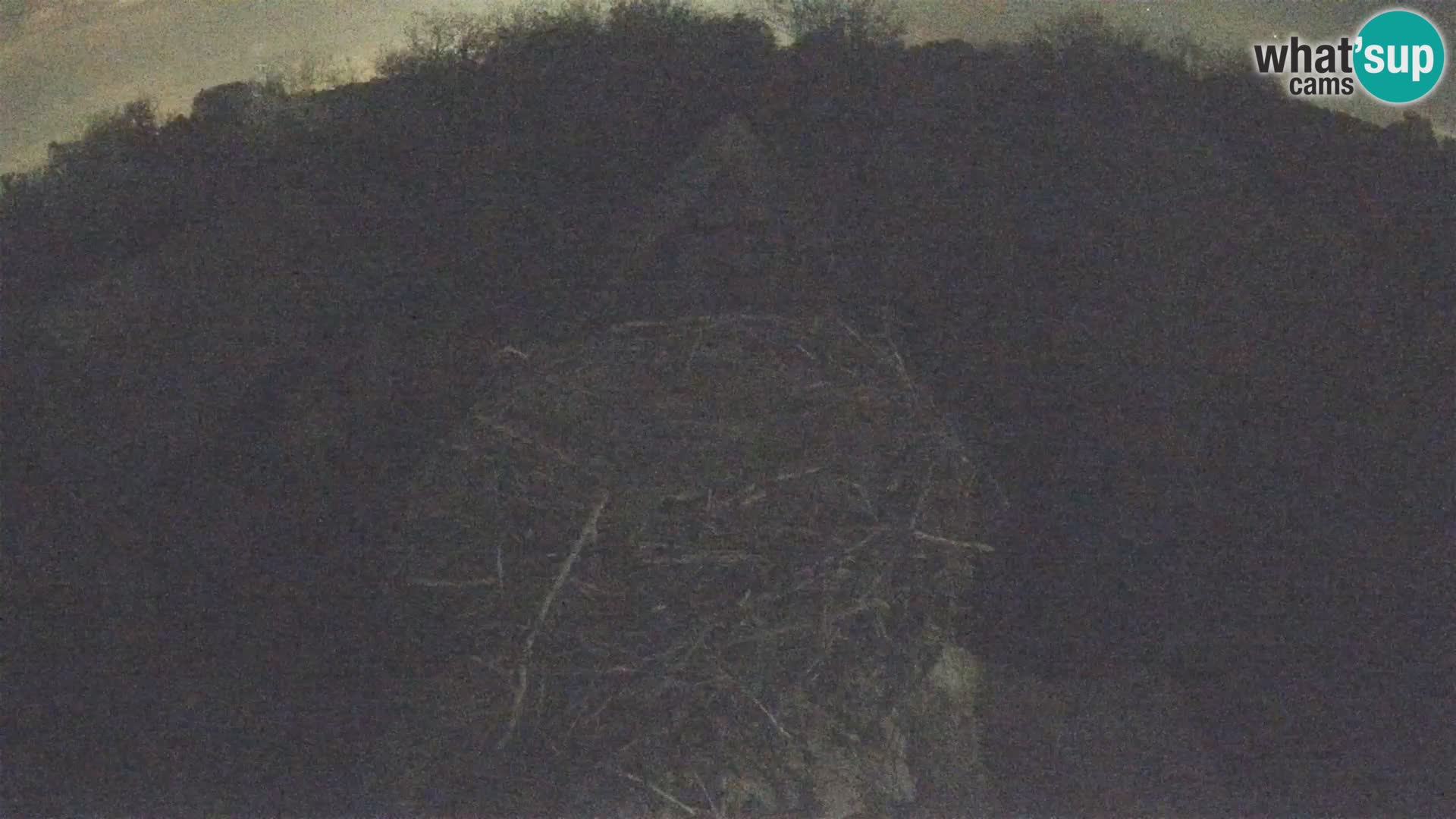 Live webcam European stork village – Lonjsko polje Nature Park